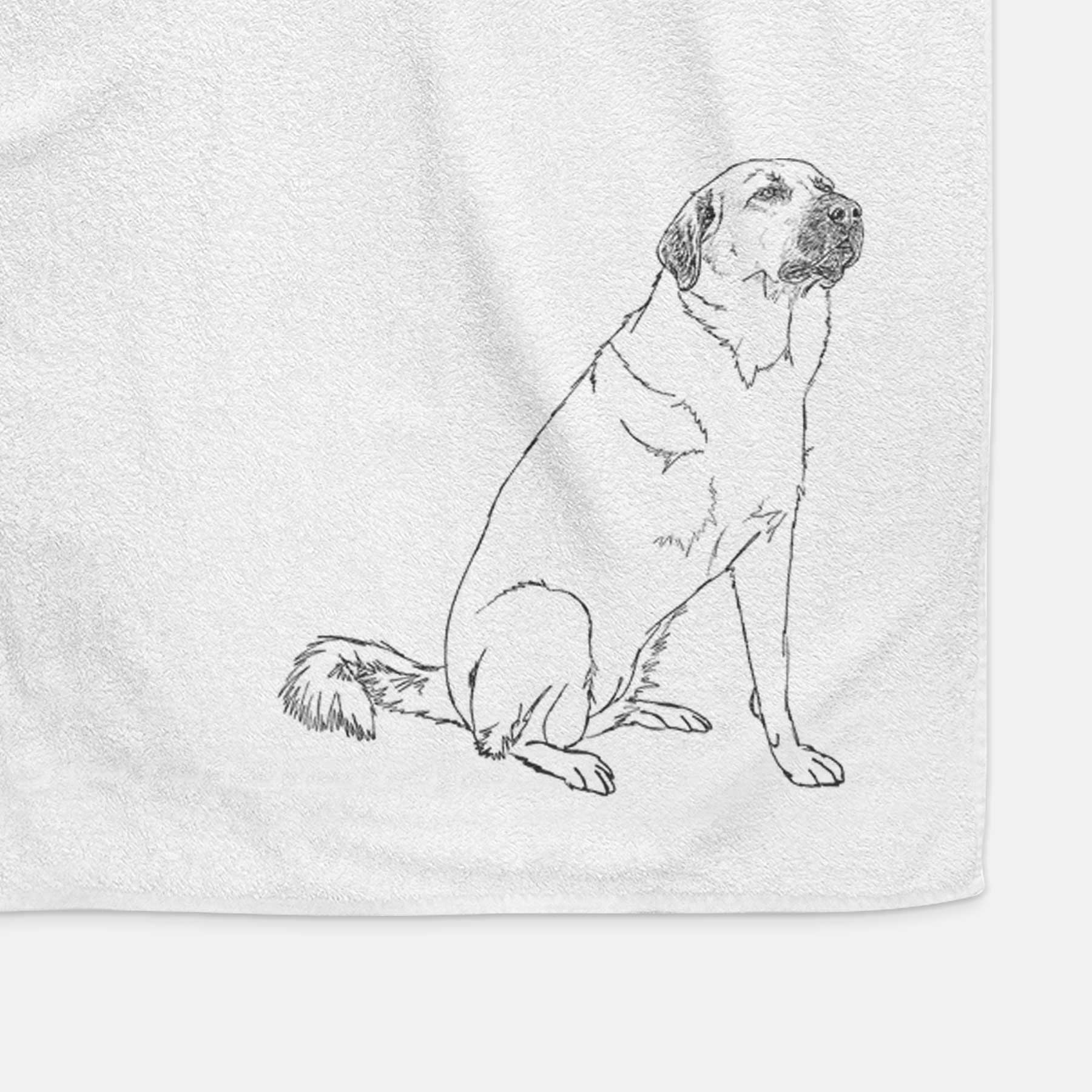 Doodled Willow the Pyratolian Decorative Hand Towel