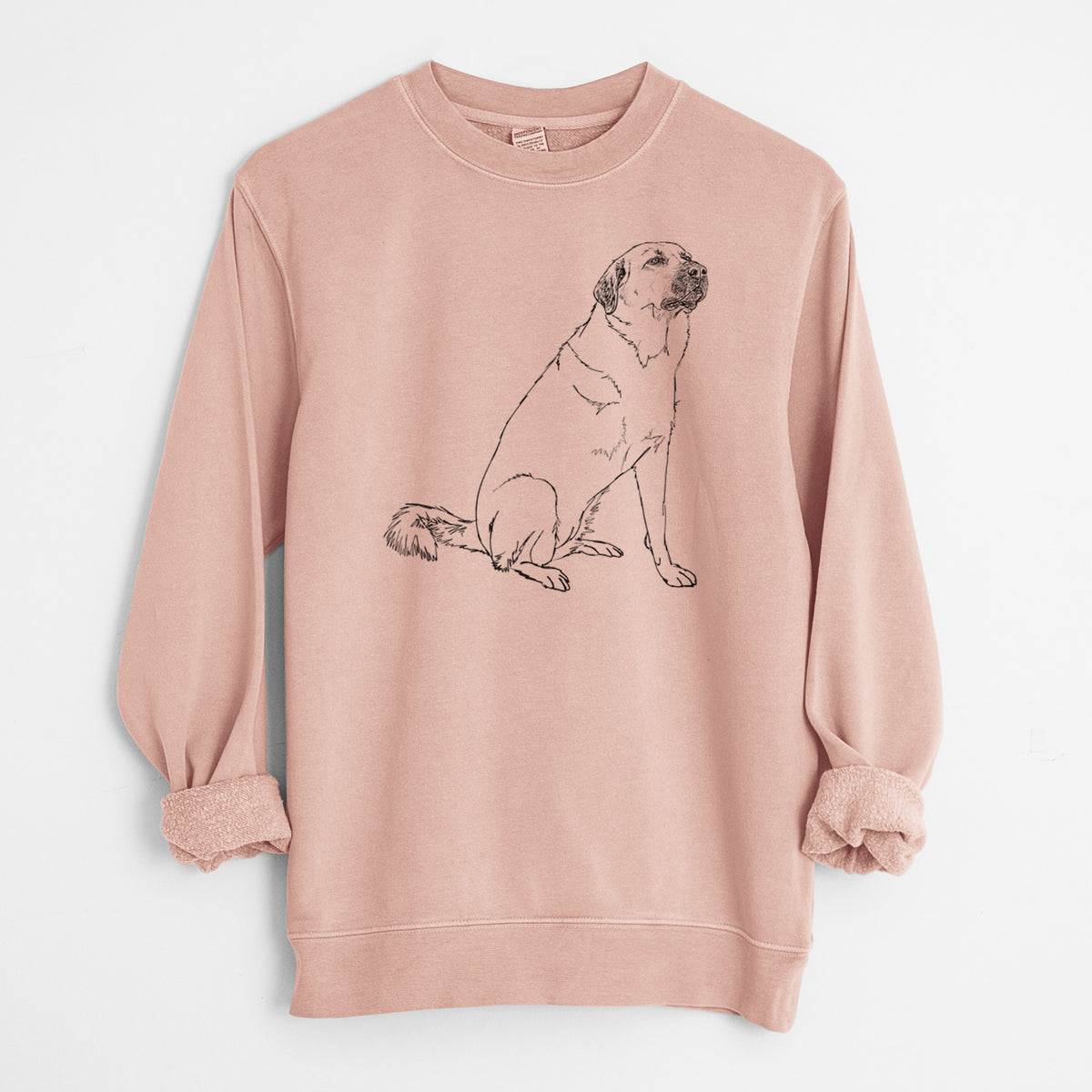 Doodled Willow the Pyratolian - Unisex Pigment Dyed Crew Sweatshirt