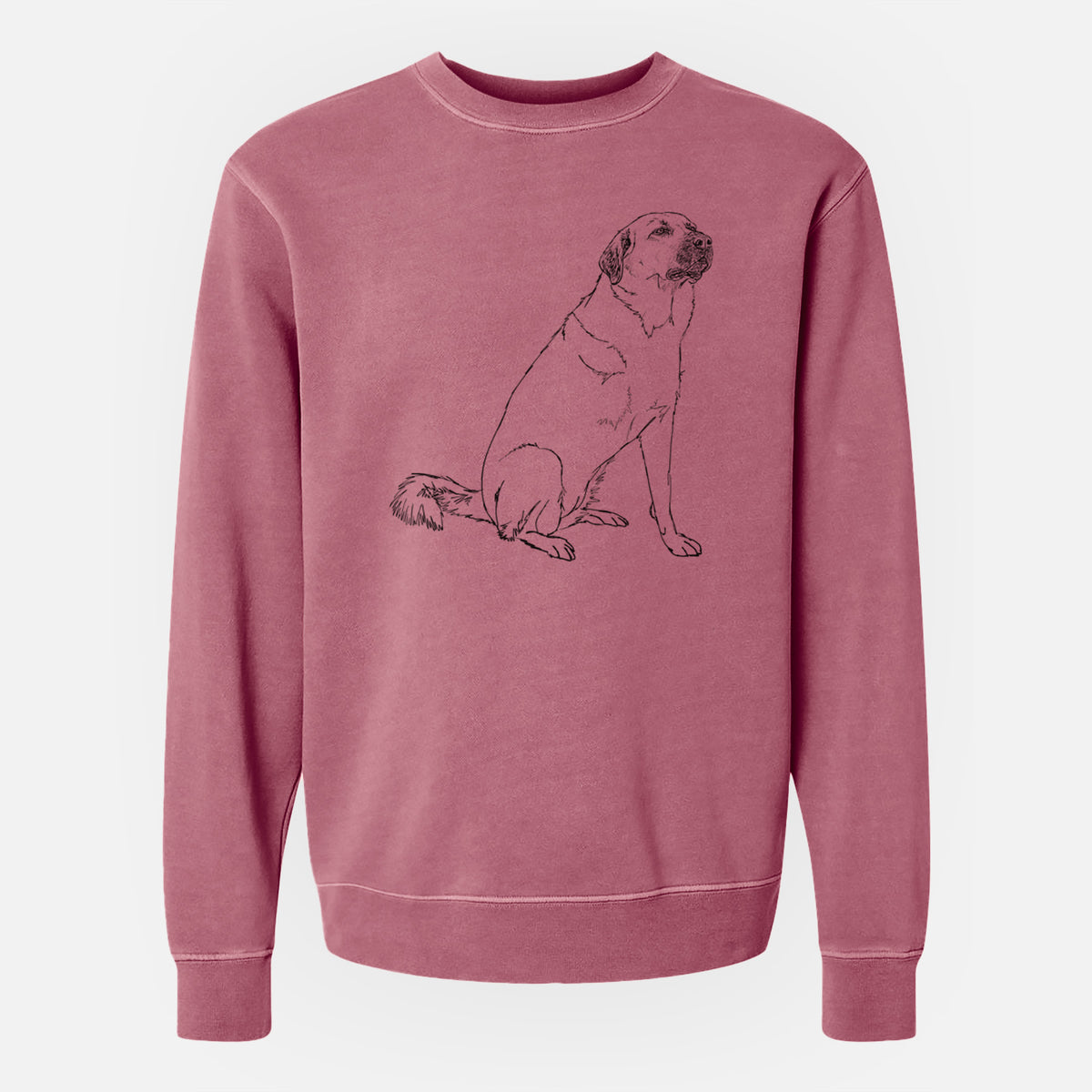 Doodled Willow the Pyratolian - Unisex Pigment Dyed Crew Sweatshirt