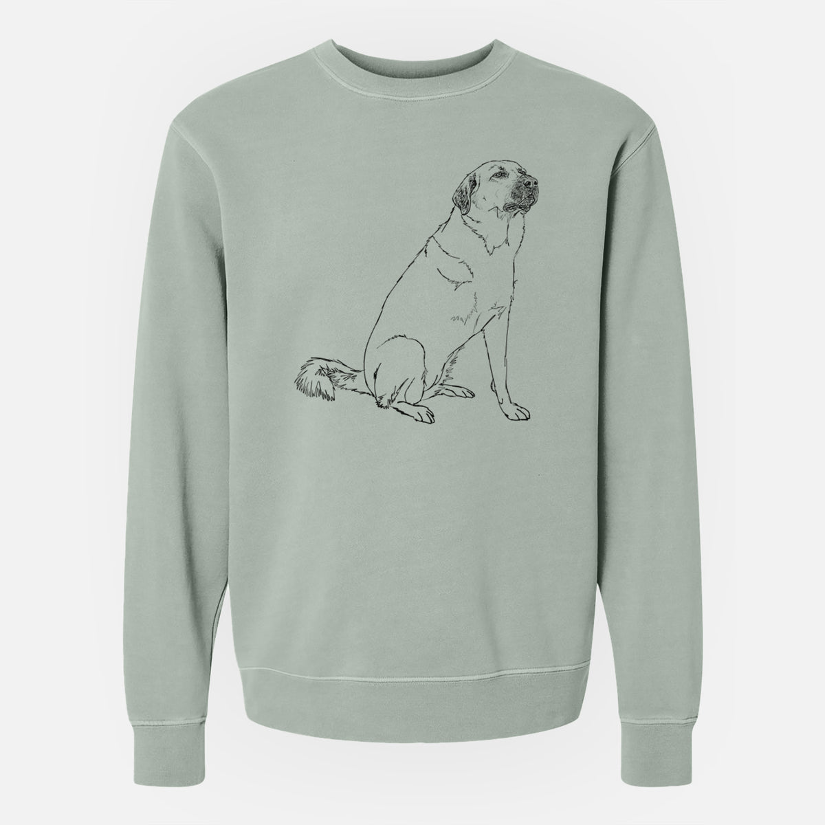 Doodled Willow the Pyratolian - Unisex Pigment Dyed Crew Sweatshirt