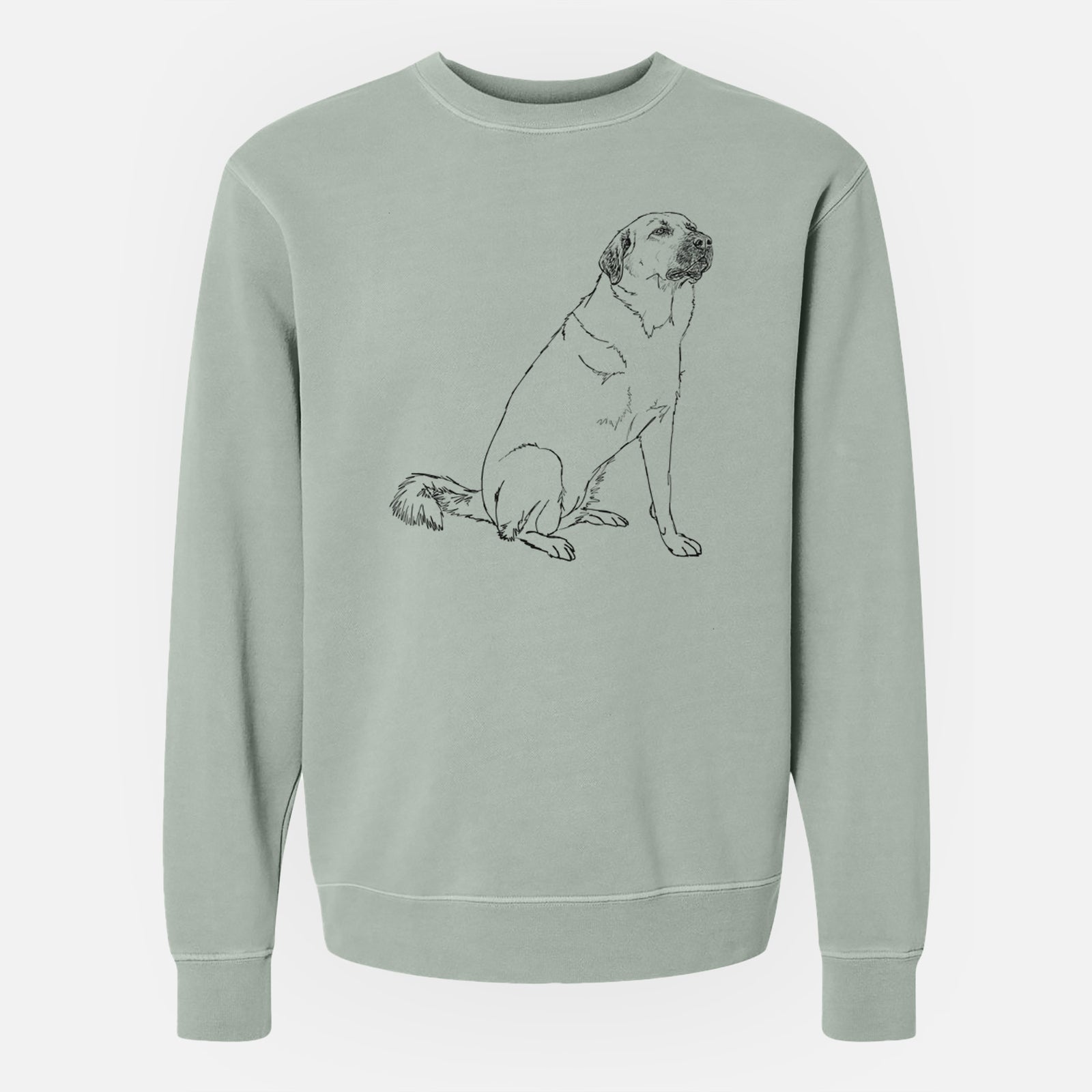 Doodled Willow the Pyratolian - Unisex Pigment Dyed Crew Sweatshirt