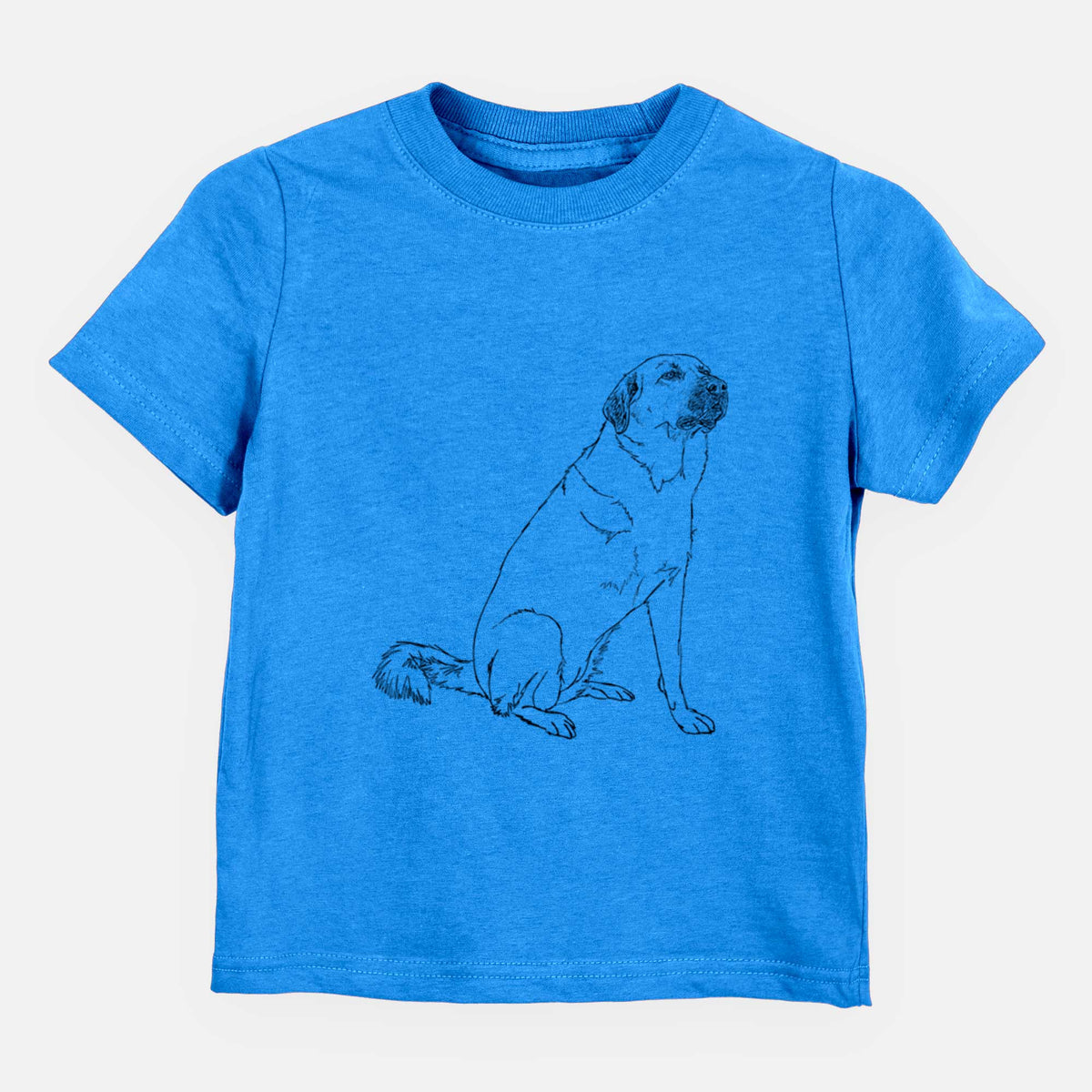 Doodled Willow the Pyratolian - Kids/Youth/Toddler Shirt
