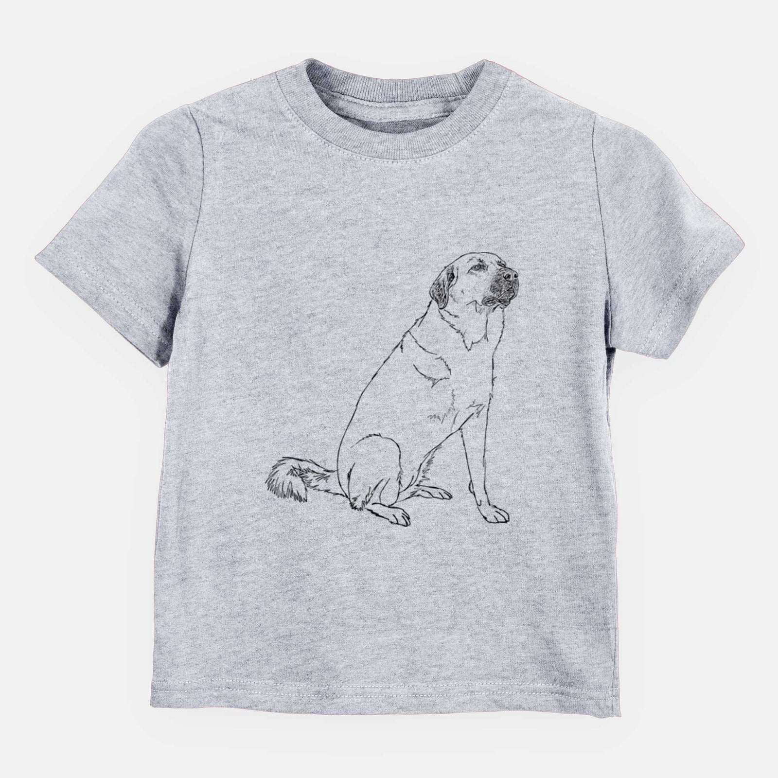 Doodled Willow the Pyratolian - Kids/Youth/Toddler Shirt