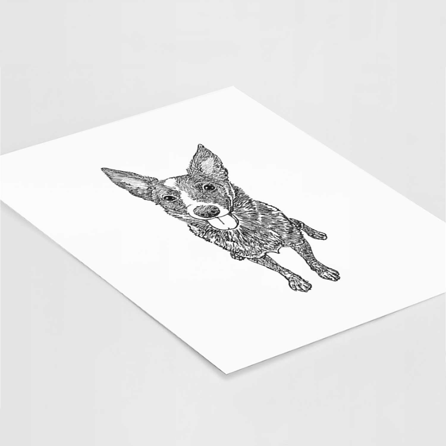 Doodled Zane the Australian Cattle Dog Art Print