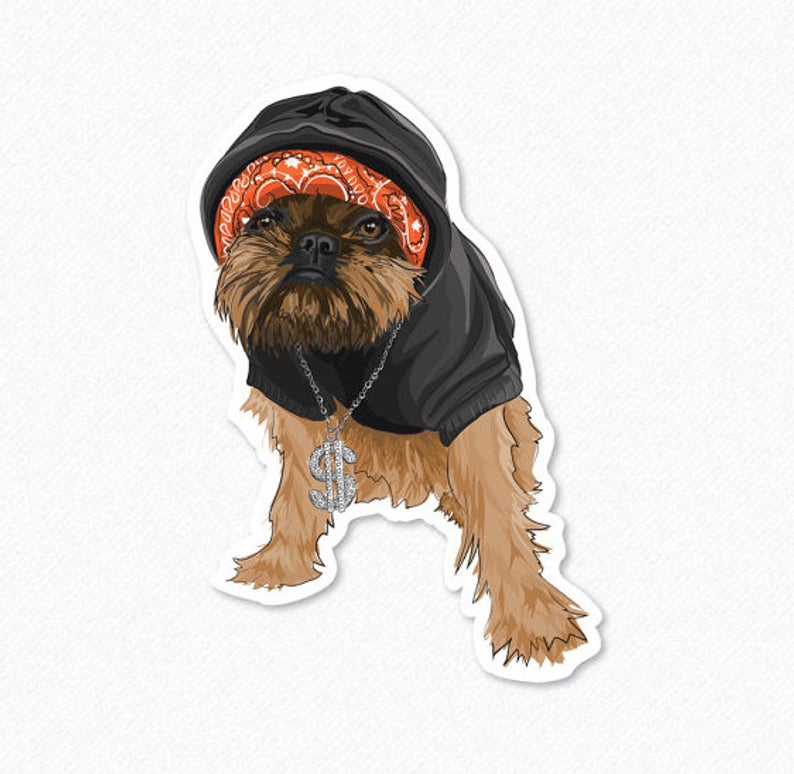 Gangsta Digby the Brussels Griffon - Decal Sticker