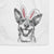 Lily the Australian Cattle Dog Decorative Hand Towel