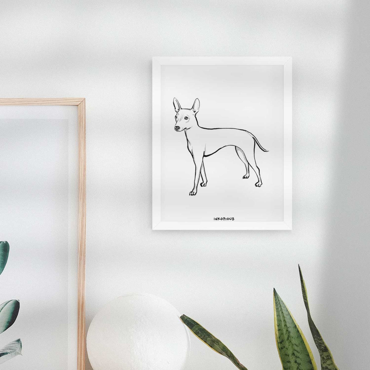 Halftone American Hairless Terrier Art Print
