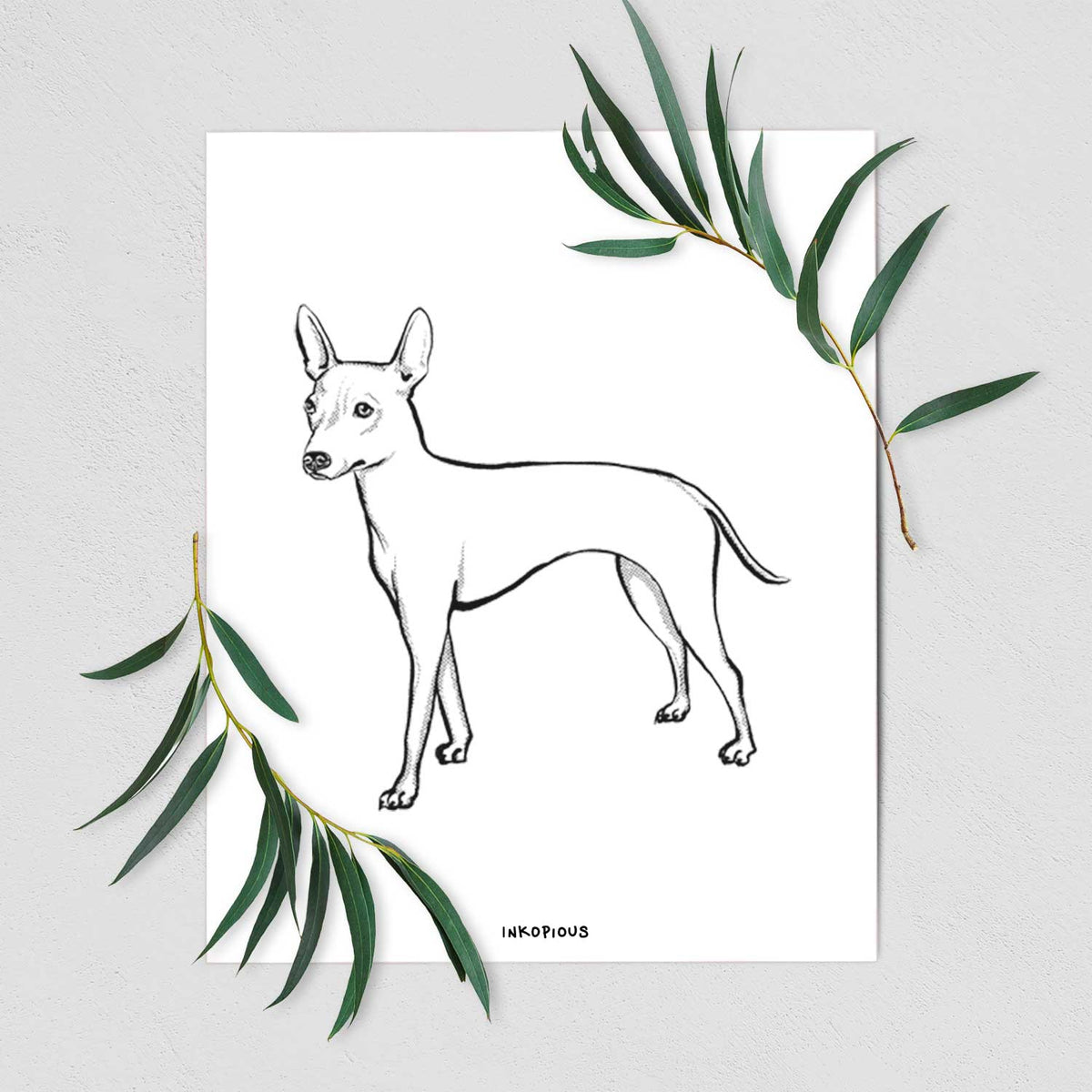 Halftone American Hairless Terrier Art Print