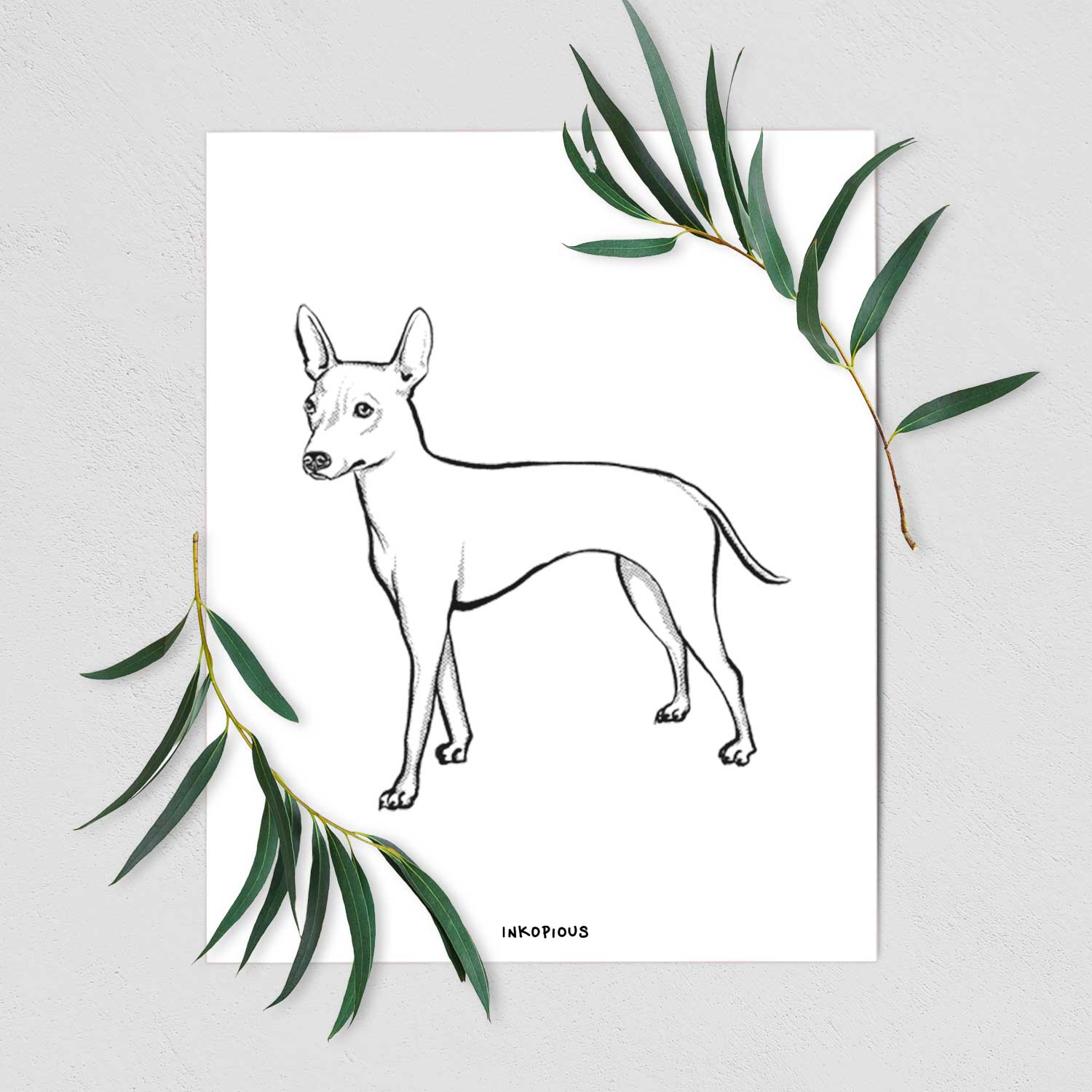 Halftone American Hairless Terrier Art Print