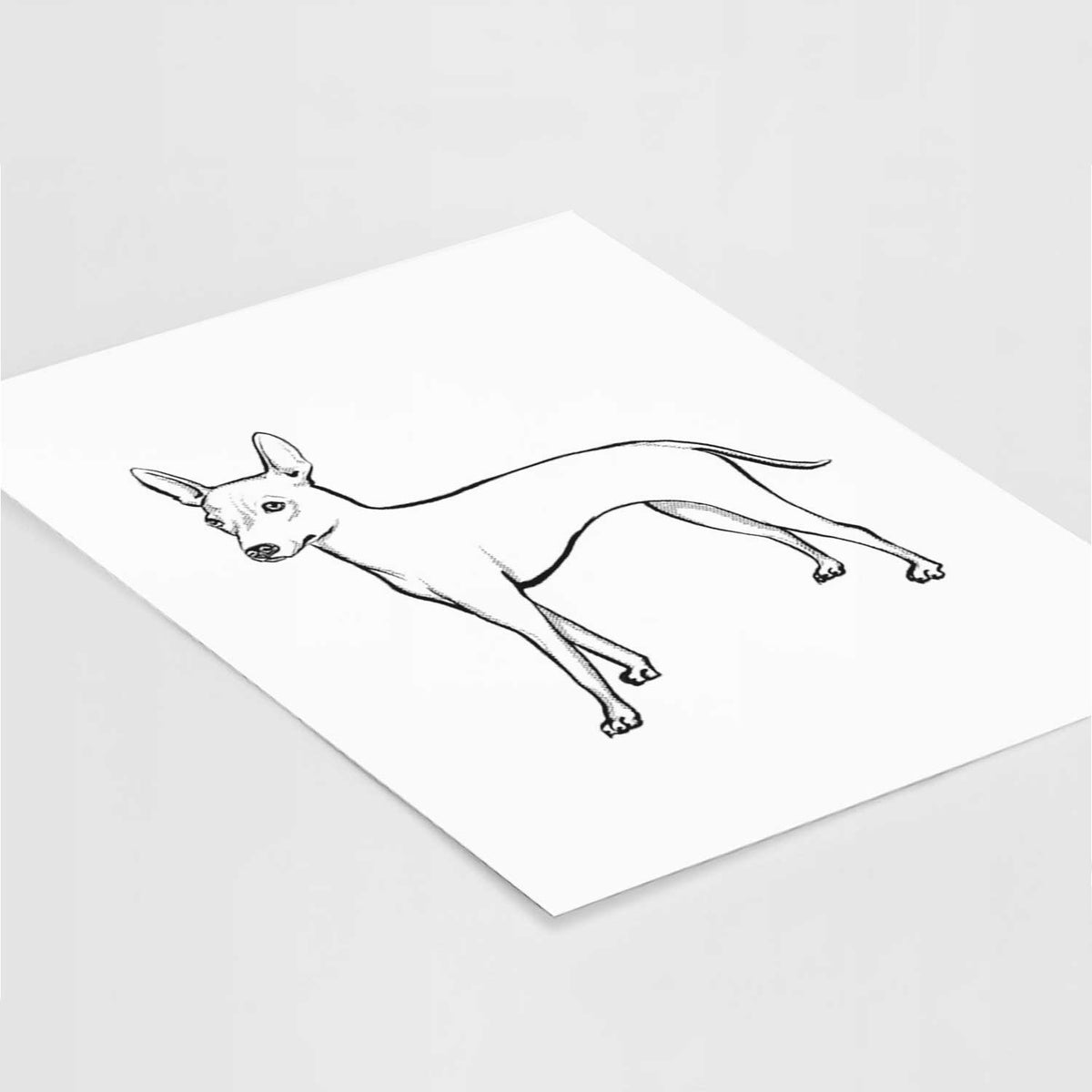 Halftone American Hairless Terrier Art Print