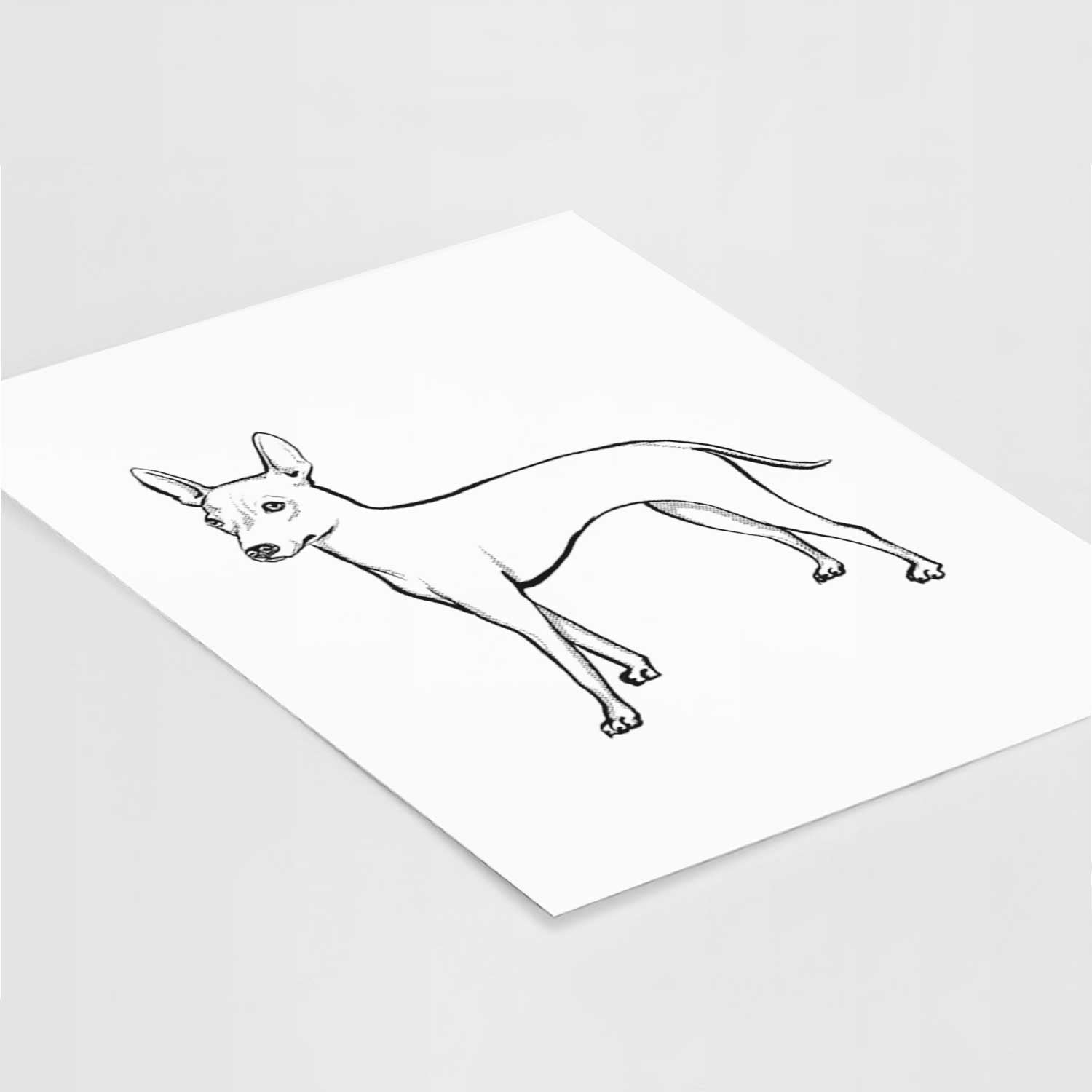 Halftone American Hairless Terrier Art Print