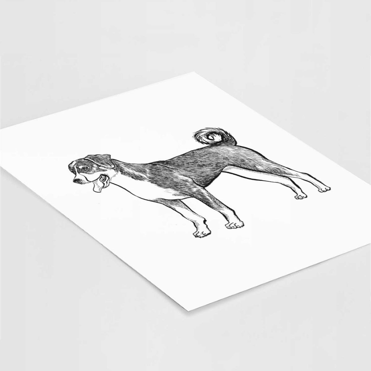 Halftone Appenzeller Sennenhunde Art Print