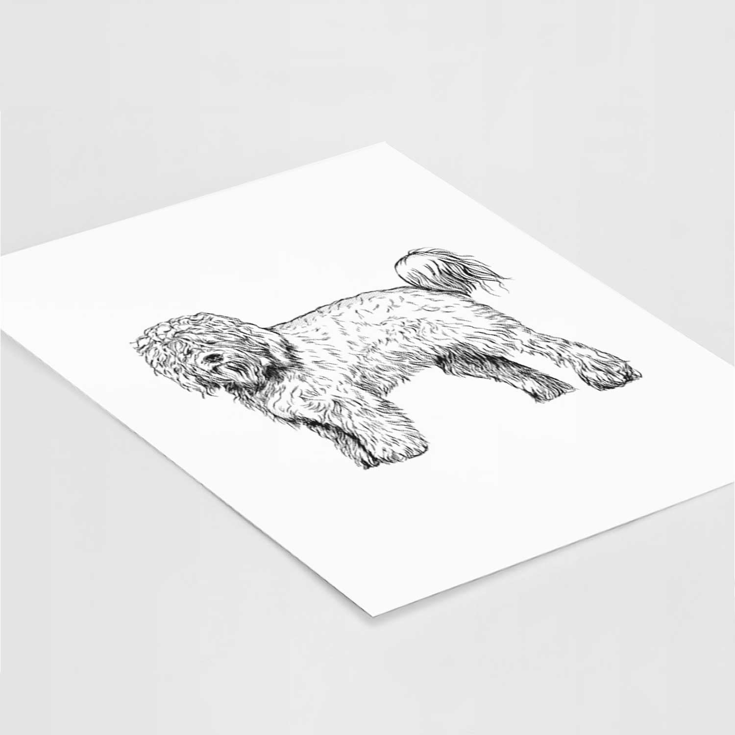 Halftone Barbet Art Print