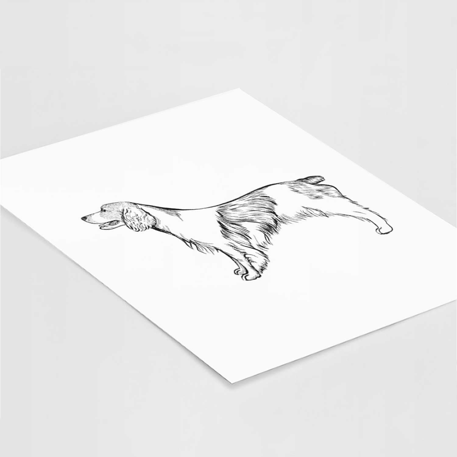 Halftone Welsh Springer Spaniel Art Print