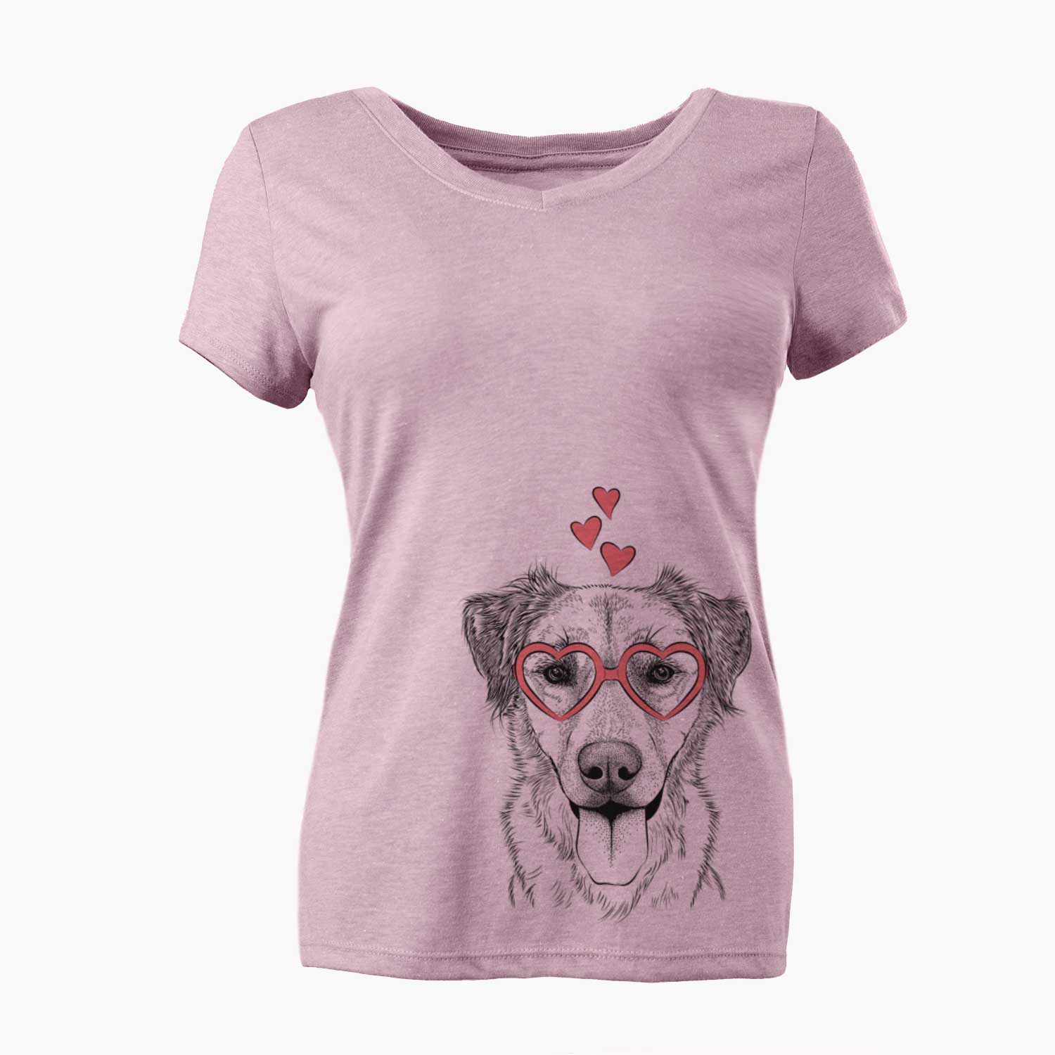 Valentine Apollo the Mixed Breed - Women's V-neck Shirt