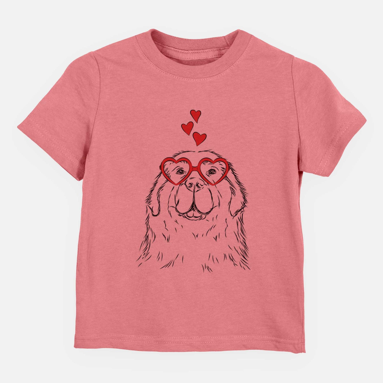 Valentine Boomer the Newfoundland - Kids/Youth/Toddler Shirt