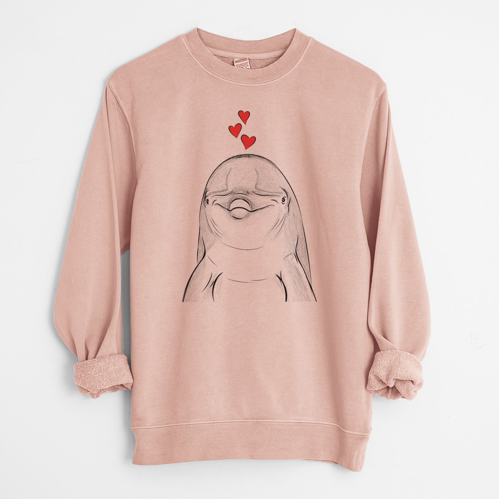 Valentine Dave the Dolphin - Unisex Pigment Dyed Crew Sweatshirt