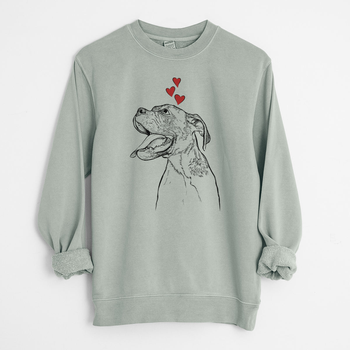 Valentine Floyd the Boxer - Unisex Pigment Dyed Crew Sweatshirt