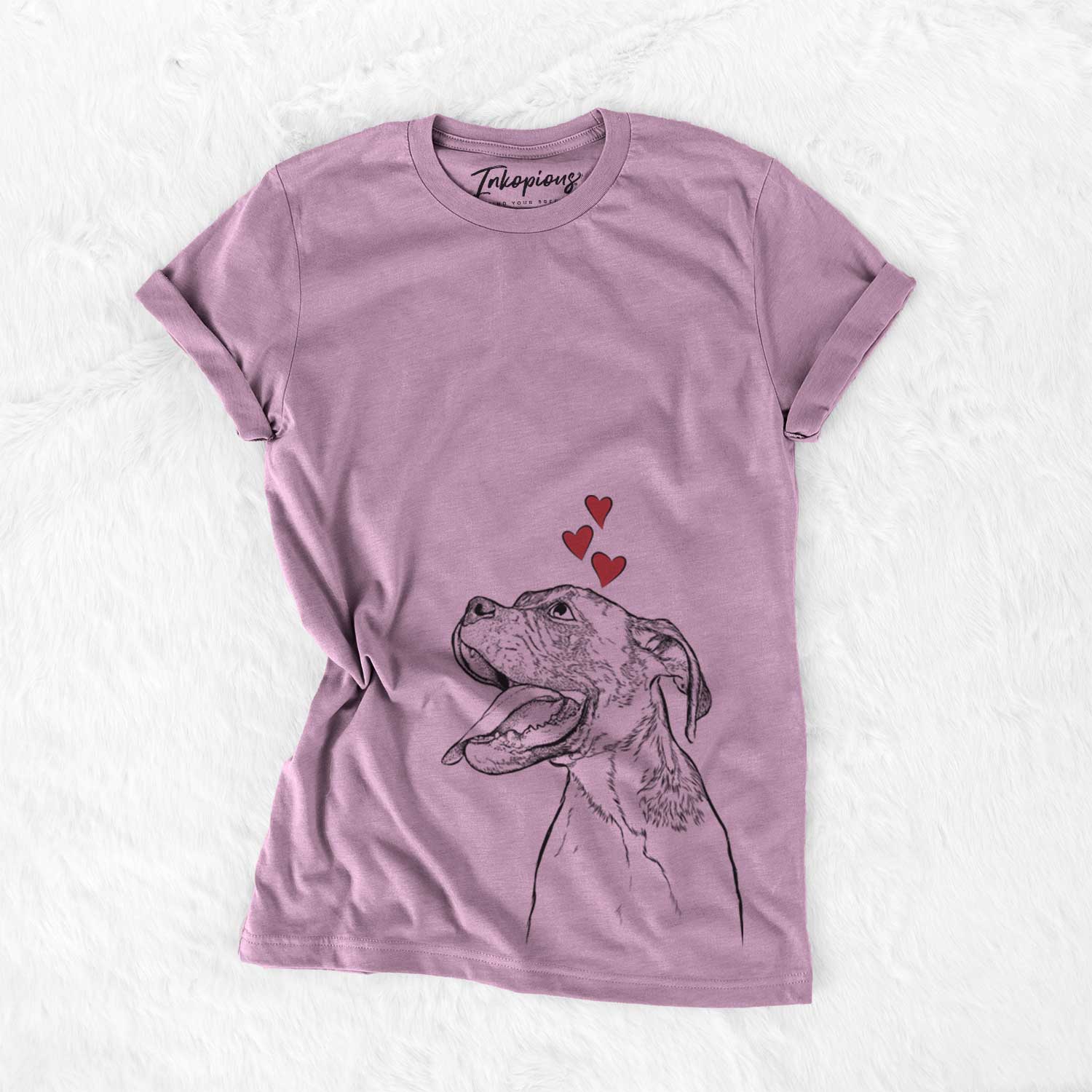 Floyd the Boxer - Bella Canvas Unisex Crewneck
