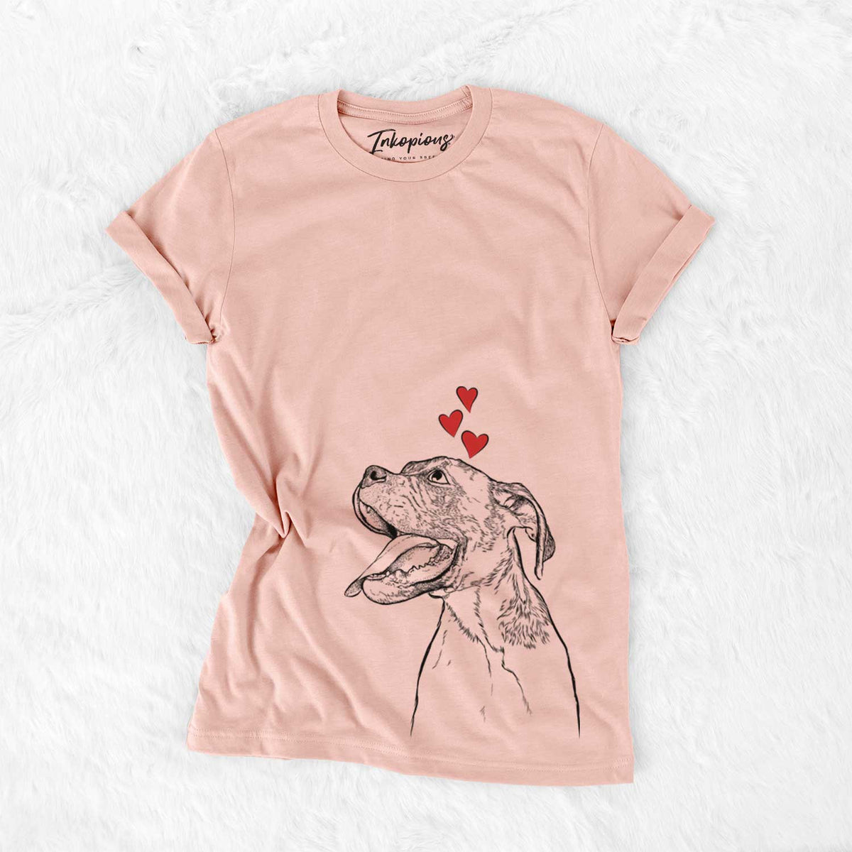 Floyd the Boxer - Bella Canvas Unisex Crewneck