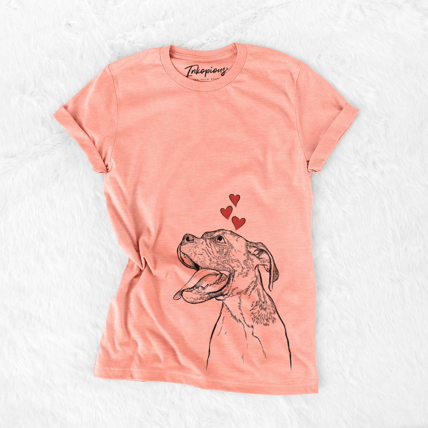 Floyd the Boxer - Bella Canvas Unisex Crewneck