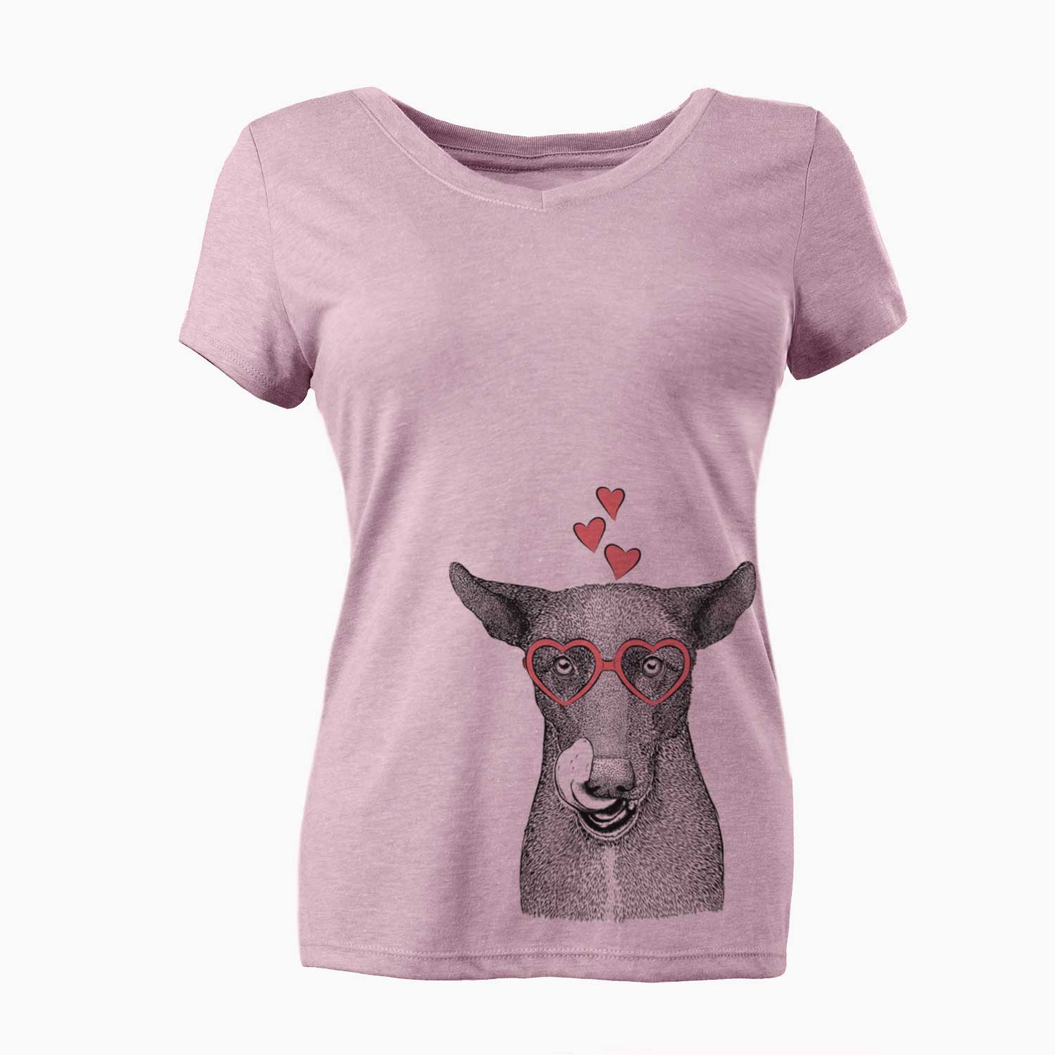 Valentine Gidget the Mexican Street Dog - Women's V-neck Shirt