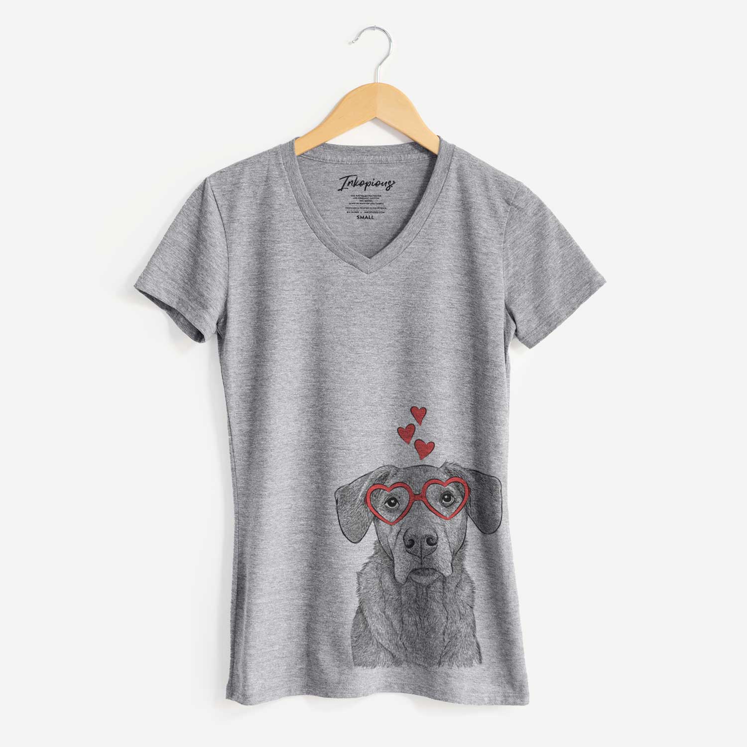 Valentine Gravy the Plott Hound Beagle Mix - Women's V-neck Shirt