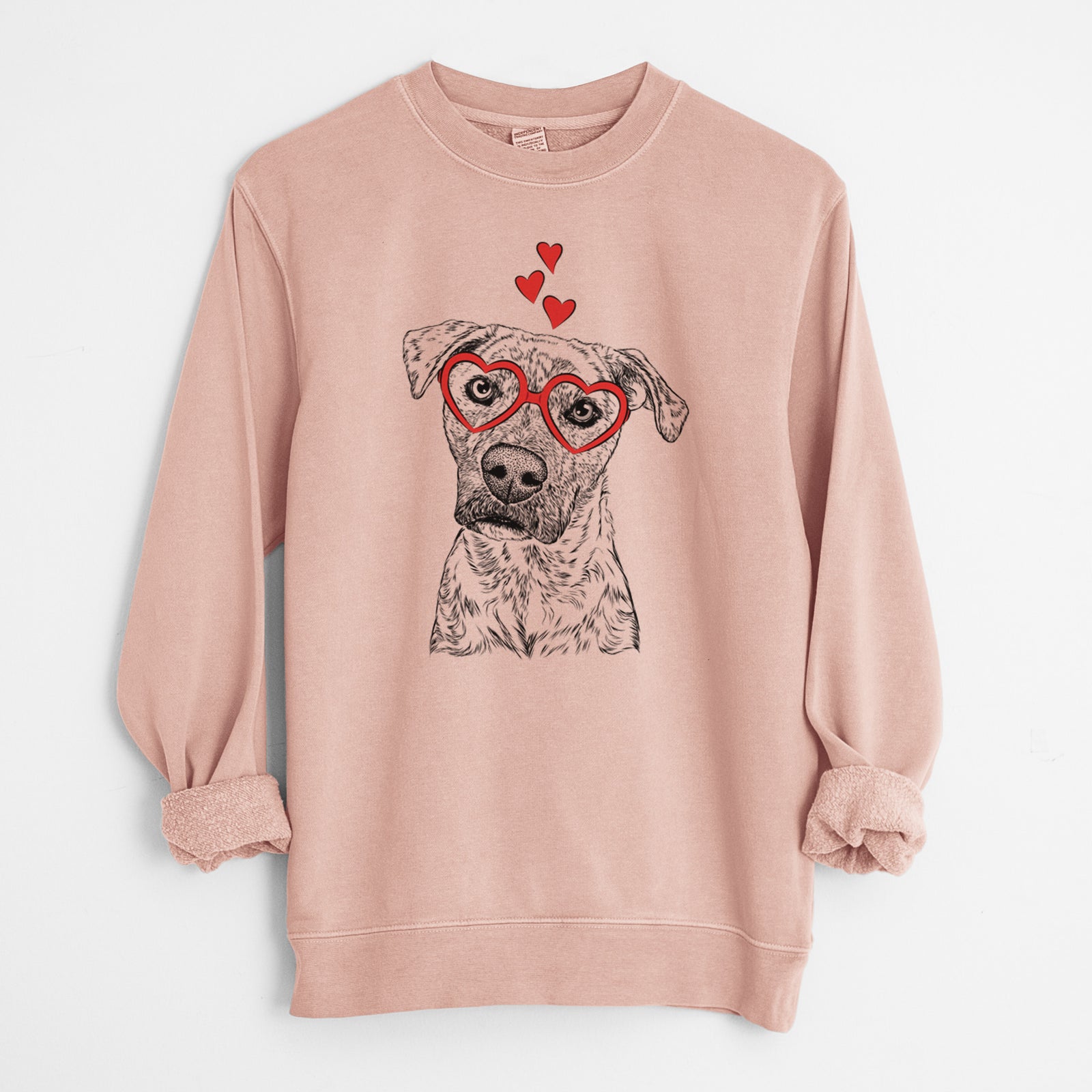 Valentine Monster Baby the Pitbull Mix - Unisex Pigment Dyed Crew Sweatshirt