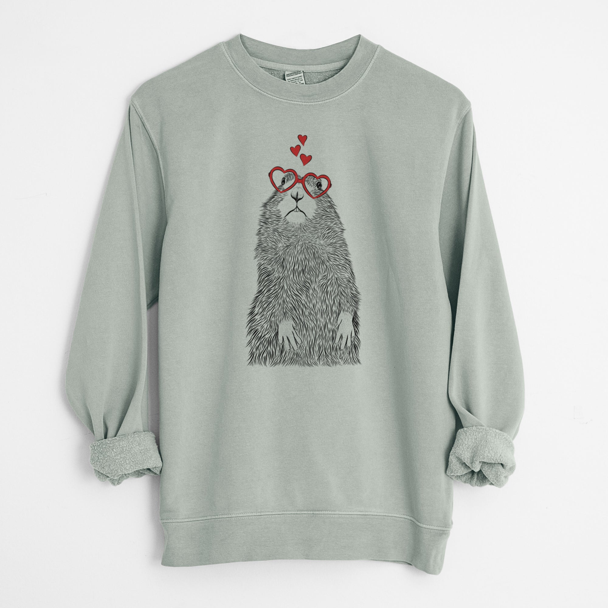 Valentine Mr. Otis the Prairie Dog - Unisex Pigment Dyed Crew Sweatshirt