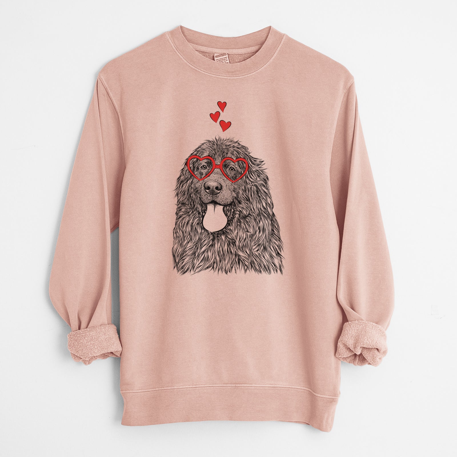 Valentine Neptune the Newfoundland - Unisex Pigment Dyed Crew Sweatshirt