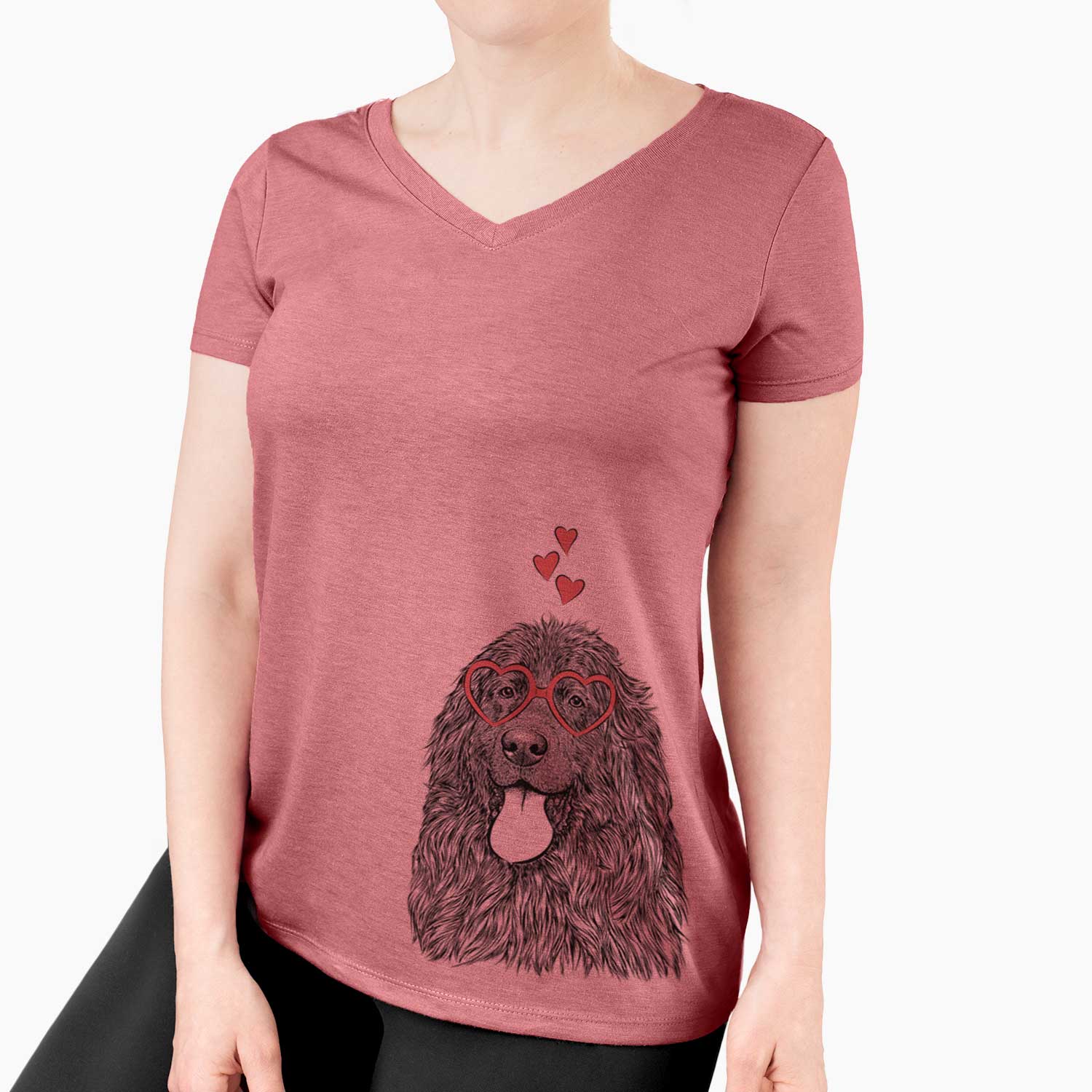 Valentine Neptune the Newfoundland - Women's V-neck Shirt