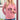 Valentine Payton the Mixed Breed - Cali Wave Hooded Sweatshirt