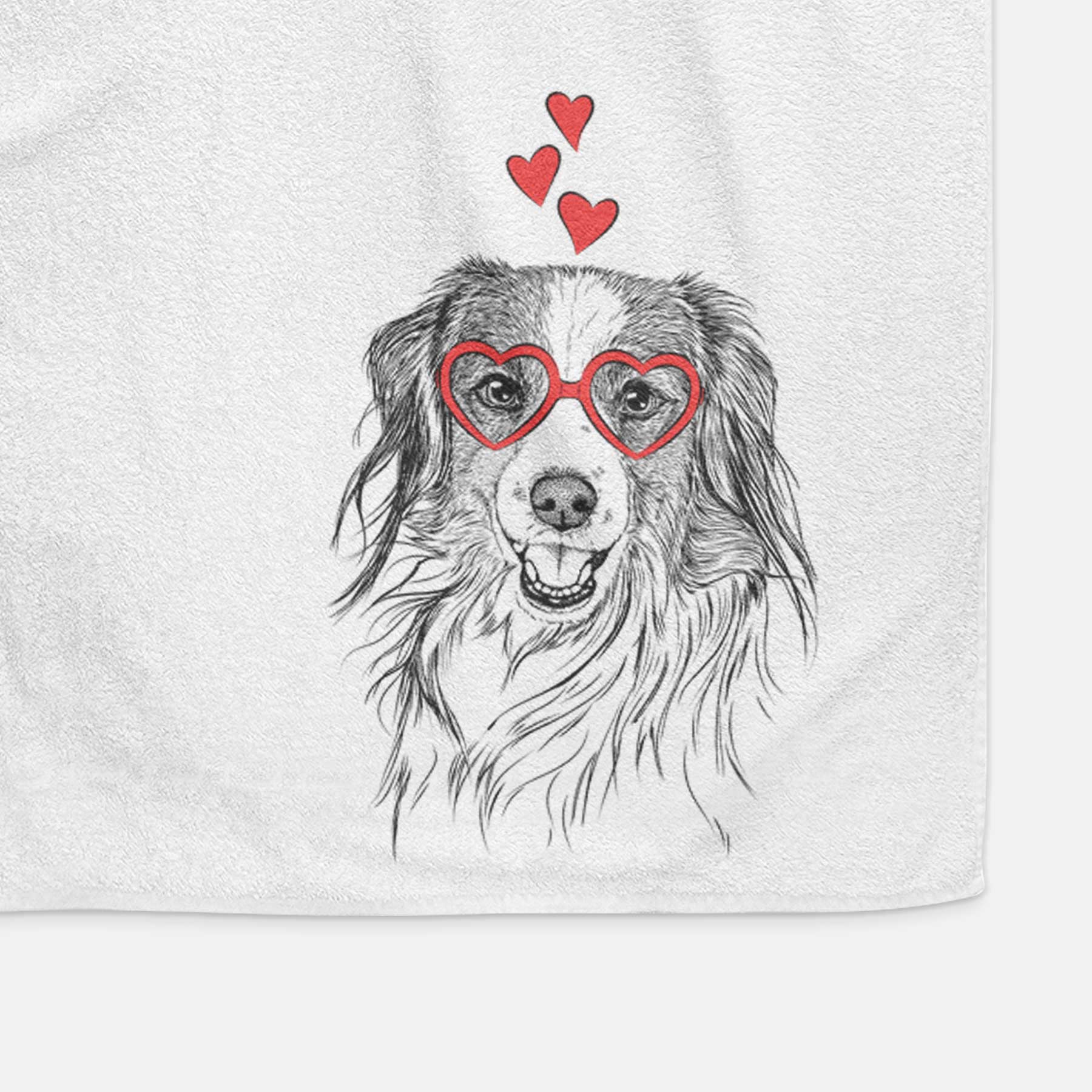 Rutger the Nederlandse Kooikerhondje Decorative Hand Towel