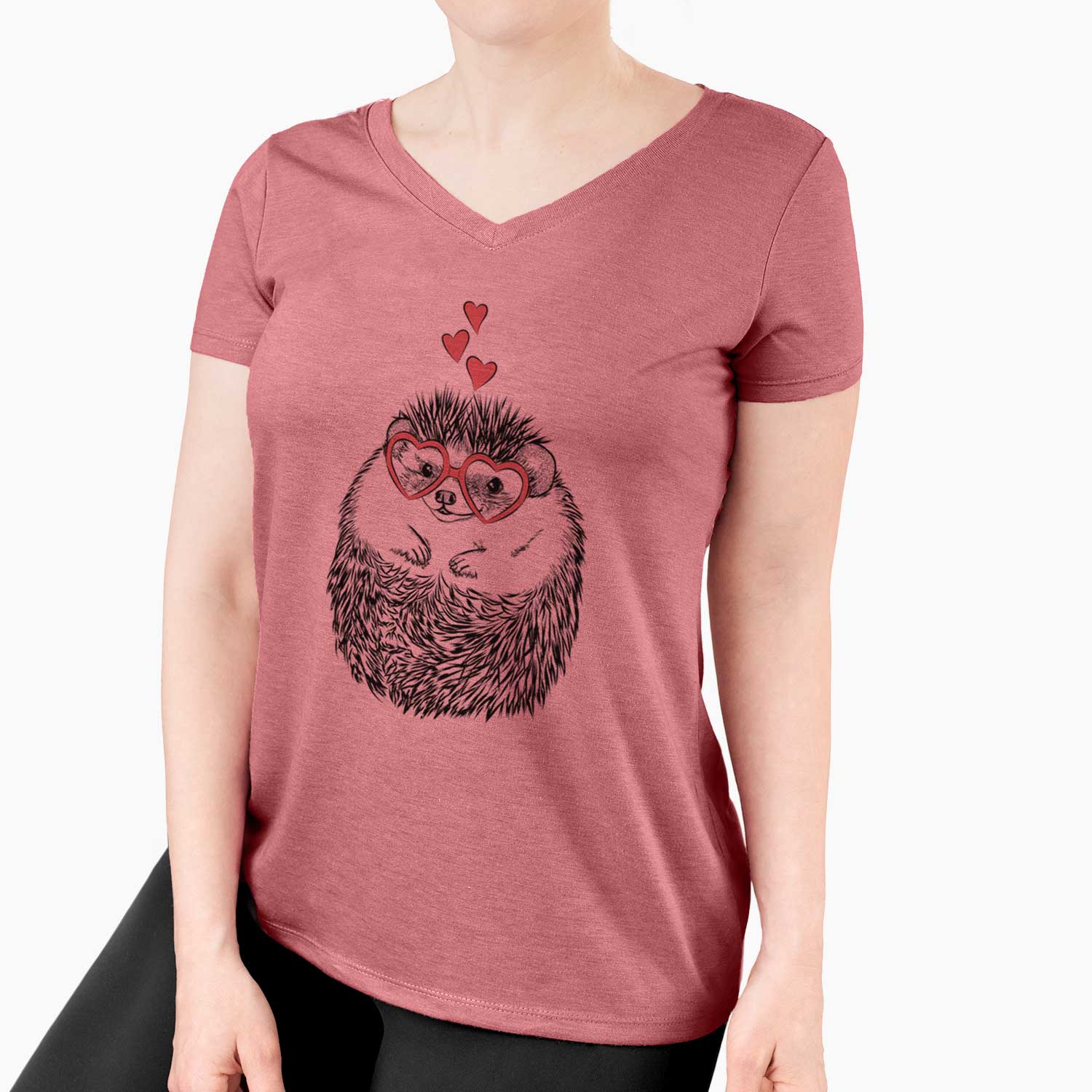 Valentine Sid the Hedgehog - Women's V-neck Shirt