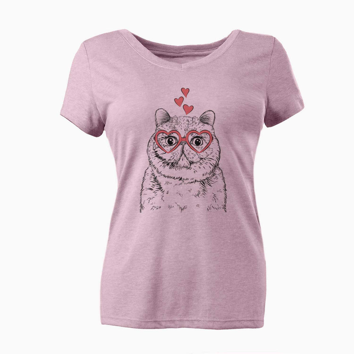 Valentine Squish the Exotic Shorthair Cat - Women's V-neck Shirt