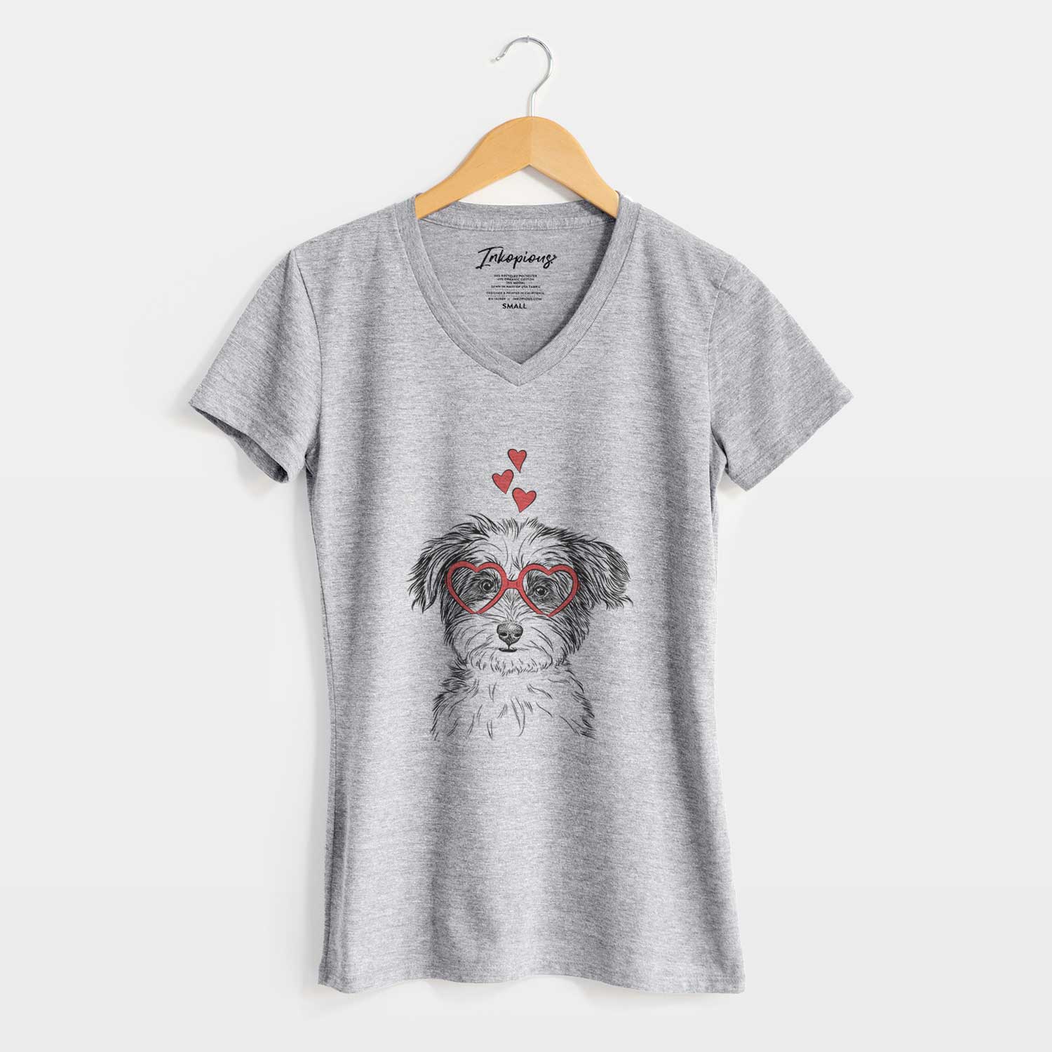 Valentine Teddy the Havanese - Women's V-neck Shirt