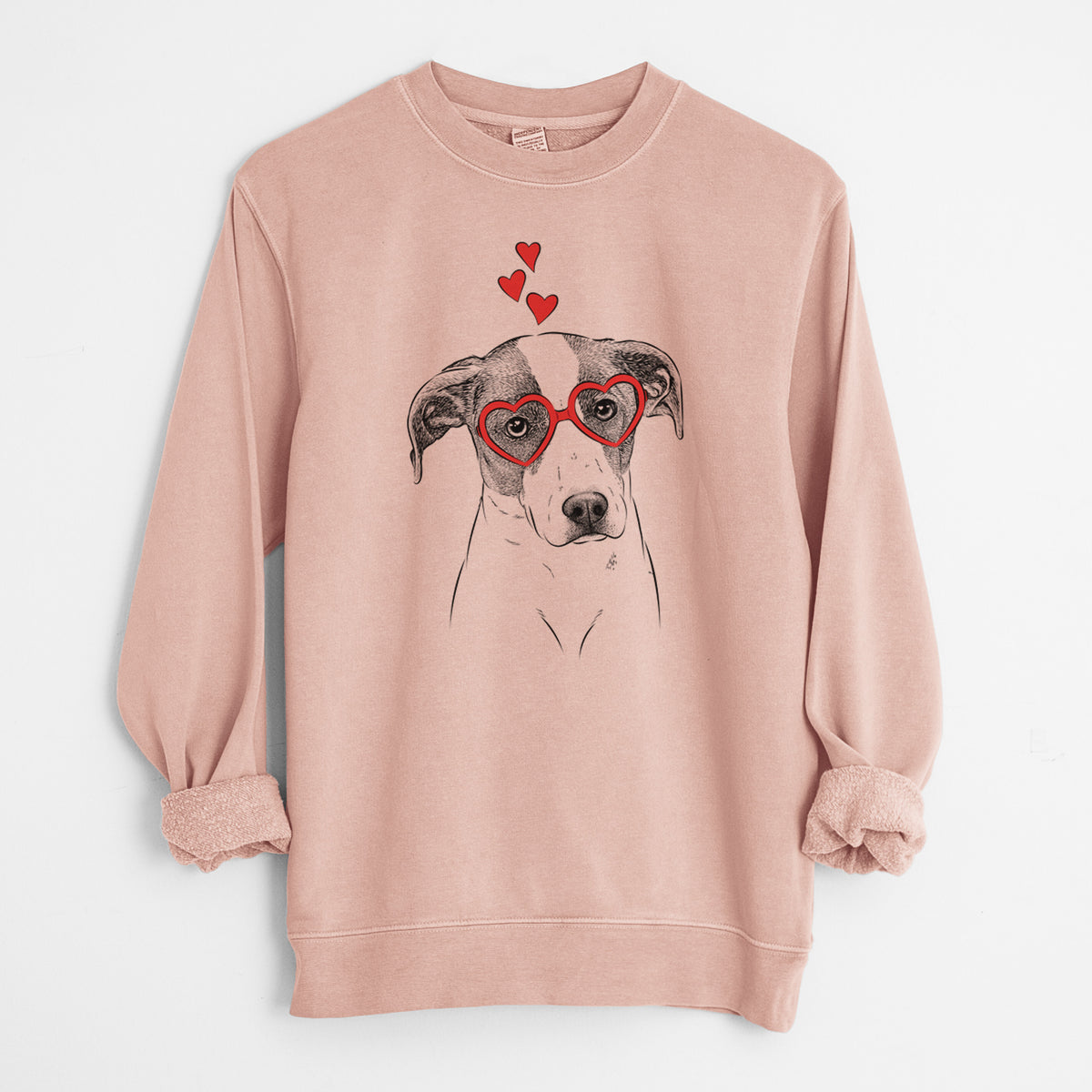Valentine Zephyr the Pointer Mix - Unisex Pigment Dyed Crew Sweatshirt