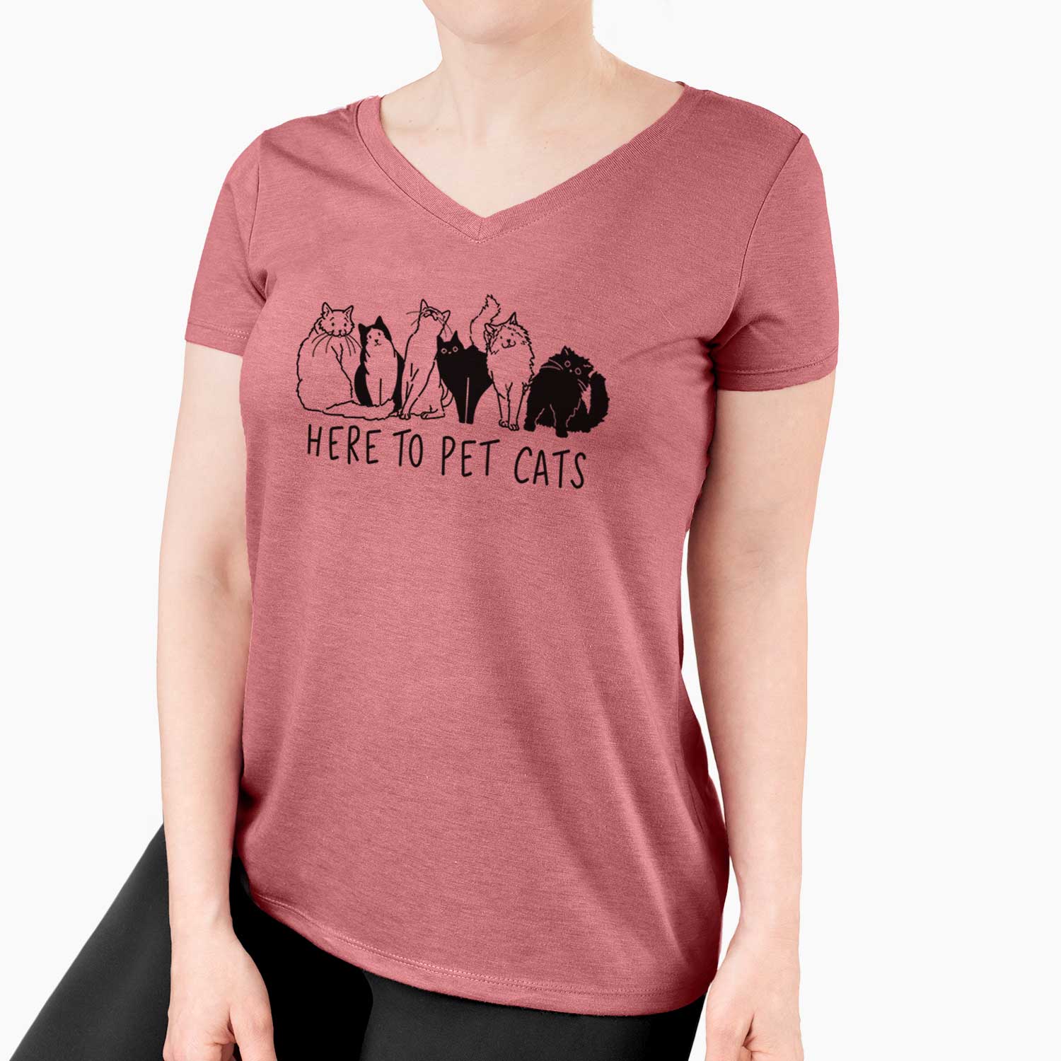 Here to Pet Cats - Women's V-neck Shirt