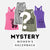 Total Surprise T-shirt Mystery Grab Bag