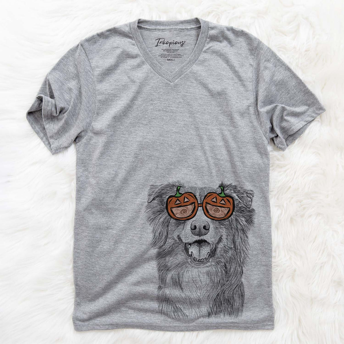 Aussie Parker the Australian Shepherd  - Pumpkin Collection