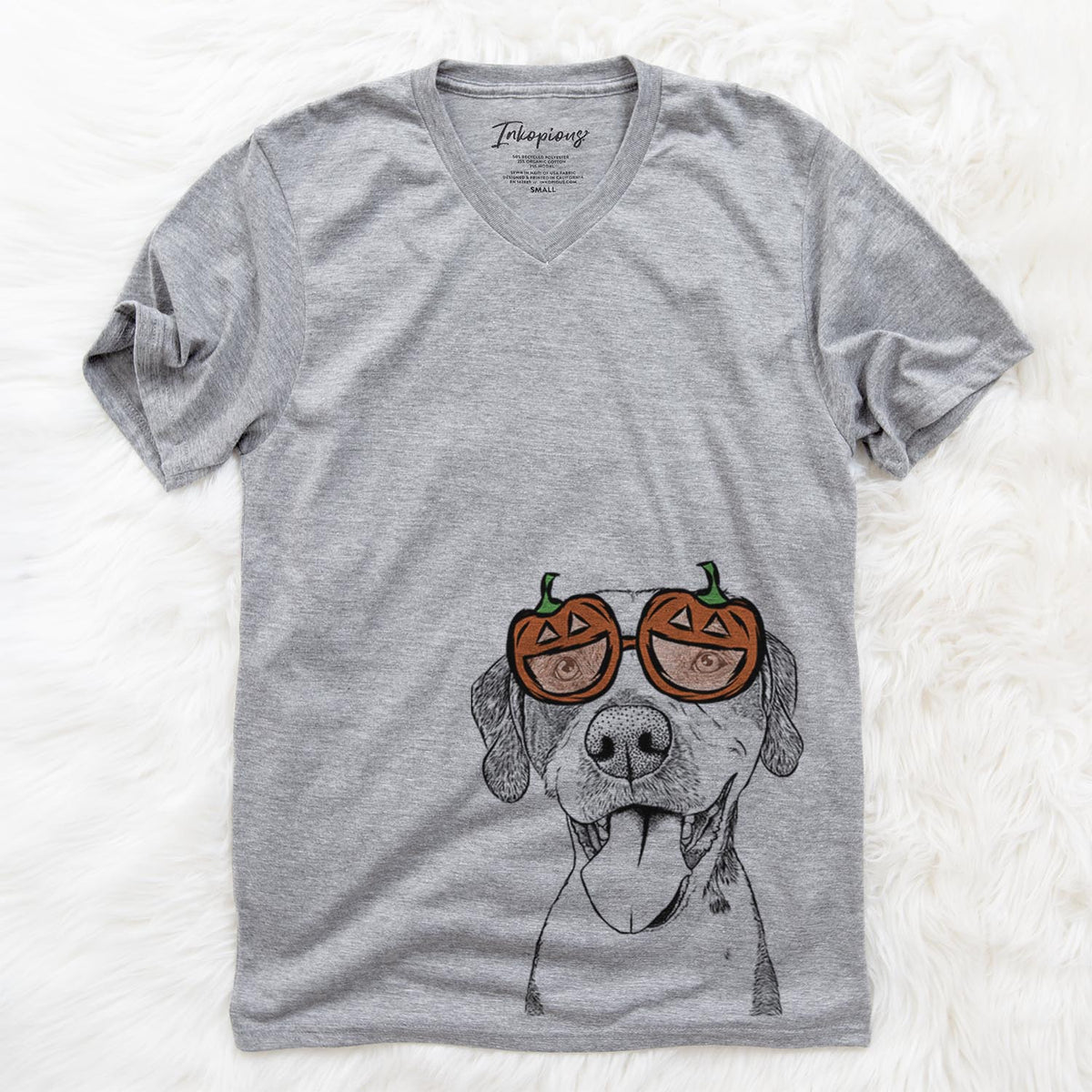 Ace Boogie the Mixed Breed  - Pumpkin Collection