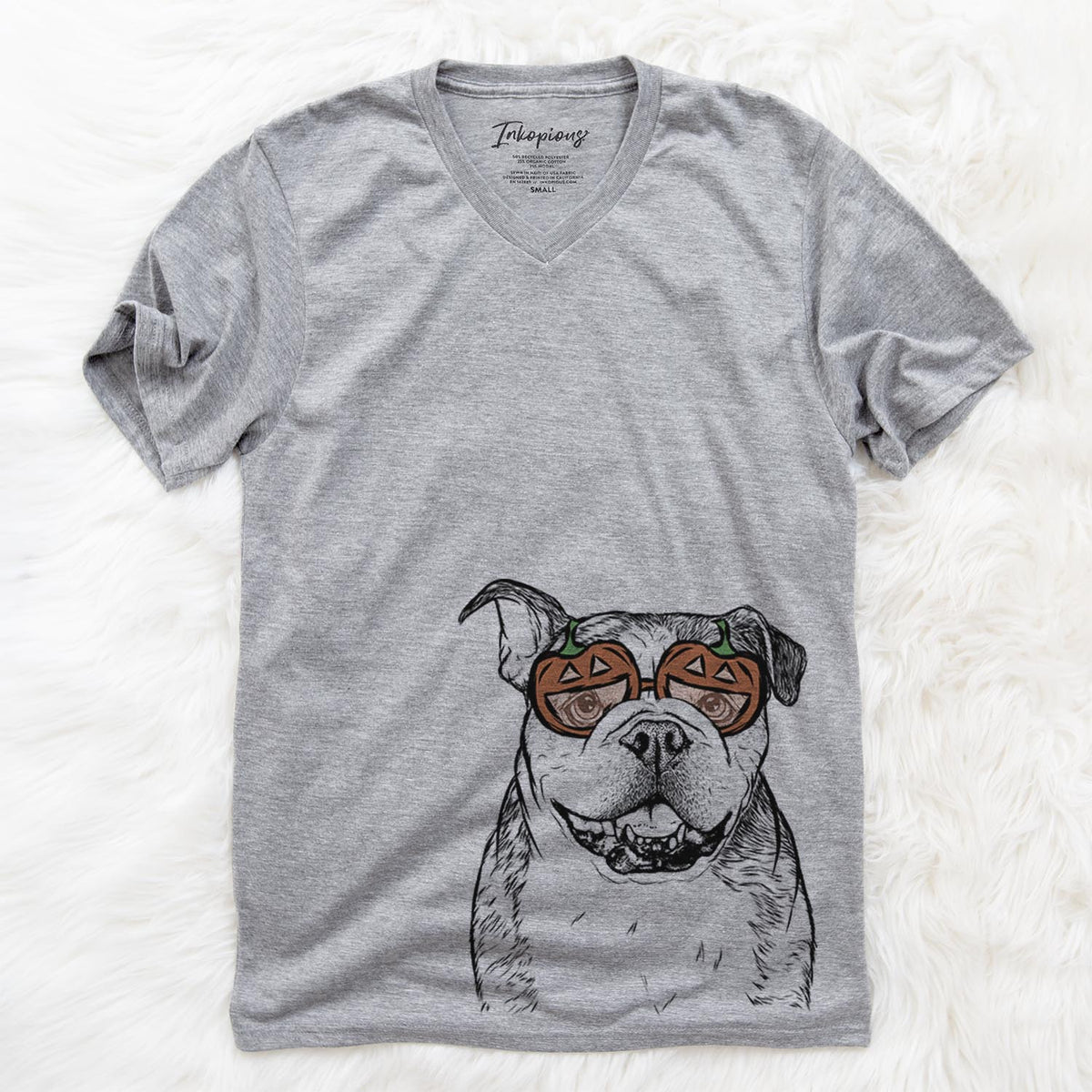 Agatha the Boston Bulldog  - Pumpkin Collection