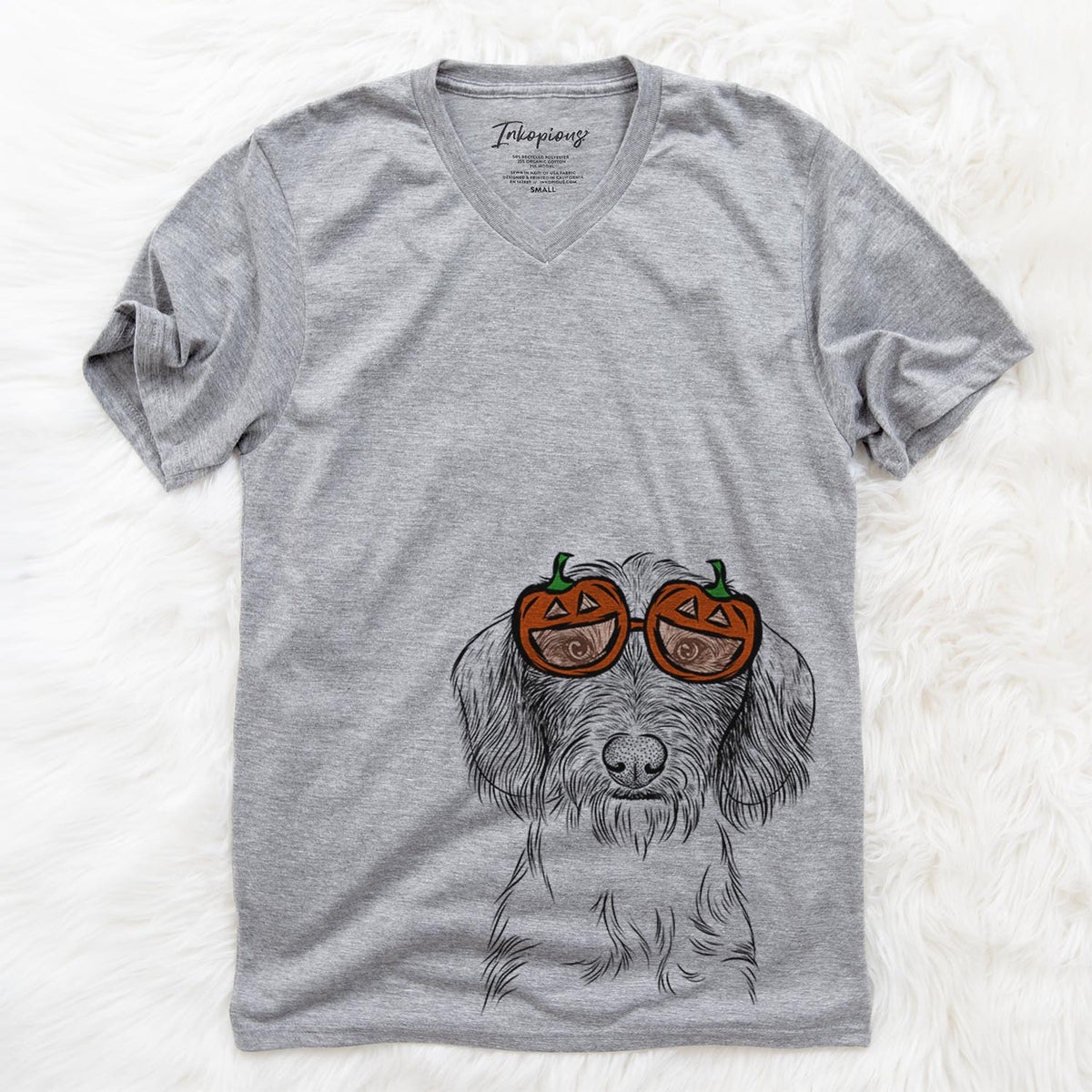 Almond the Wirehaired Dachshund  - Pumpkin Collection