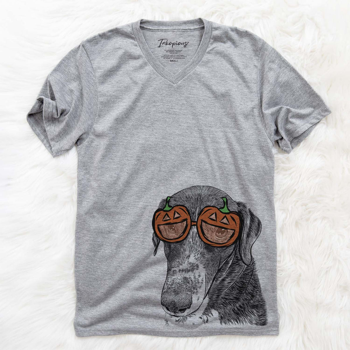 Angel Orion the Mixed Breed  - Pumpkin Collection