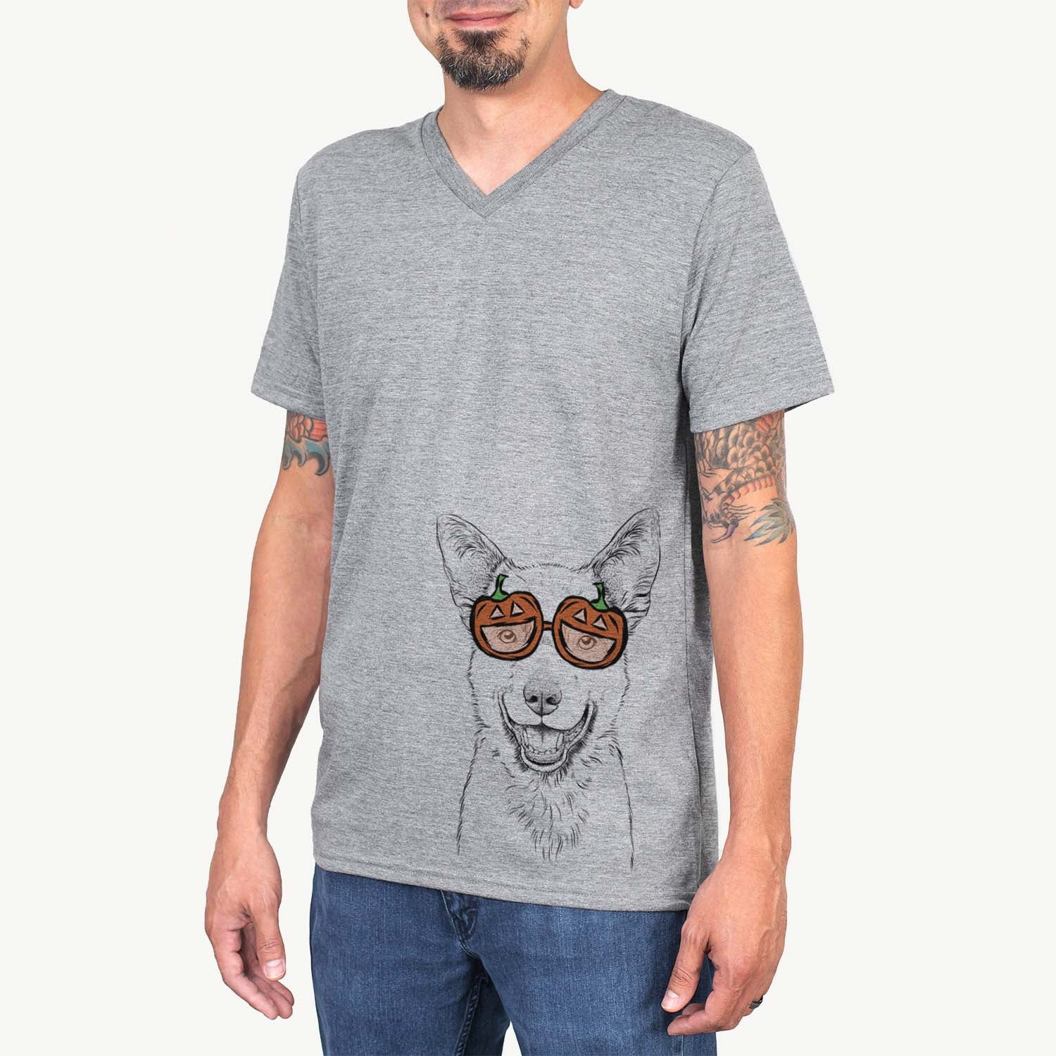 Arden the Australian Kelpie  - Pumpkin Collection