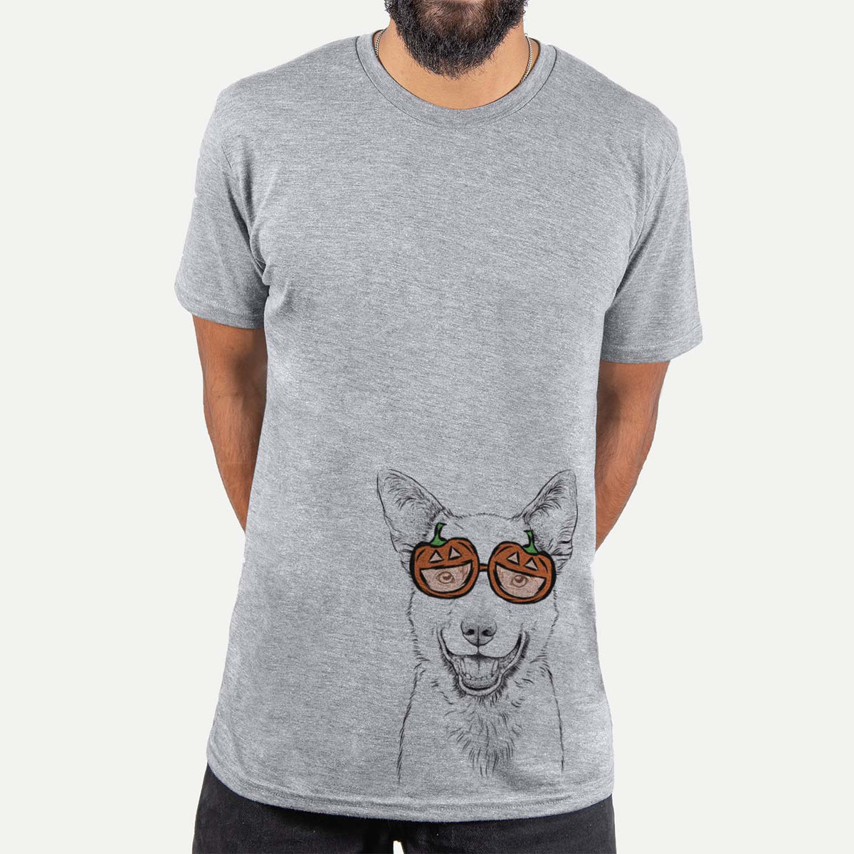 Arden the Australian Kelpie  - Pumpkin Collection