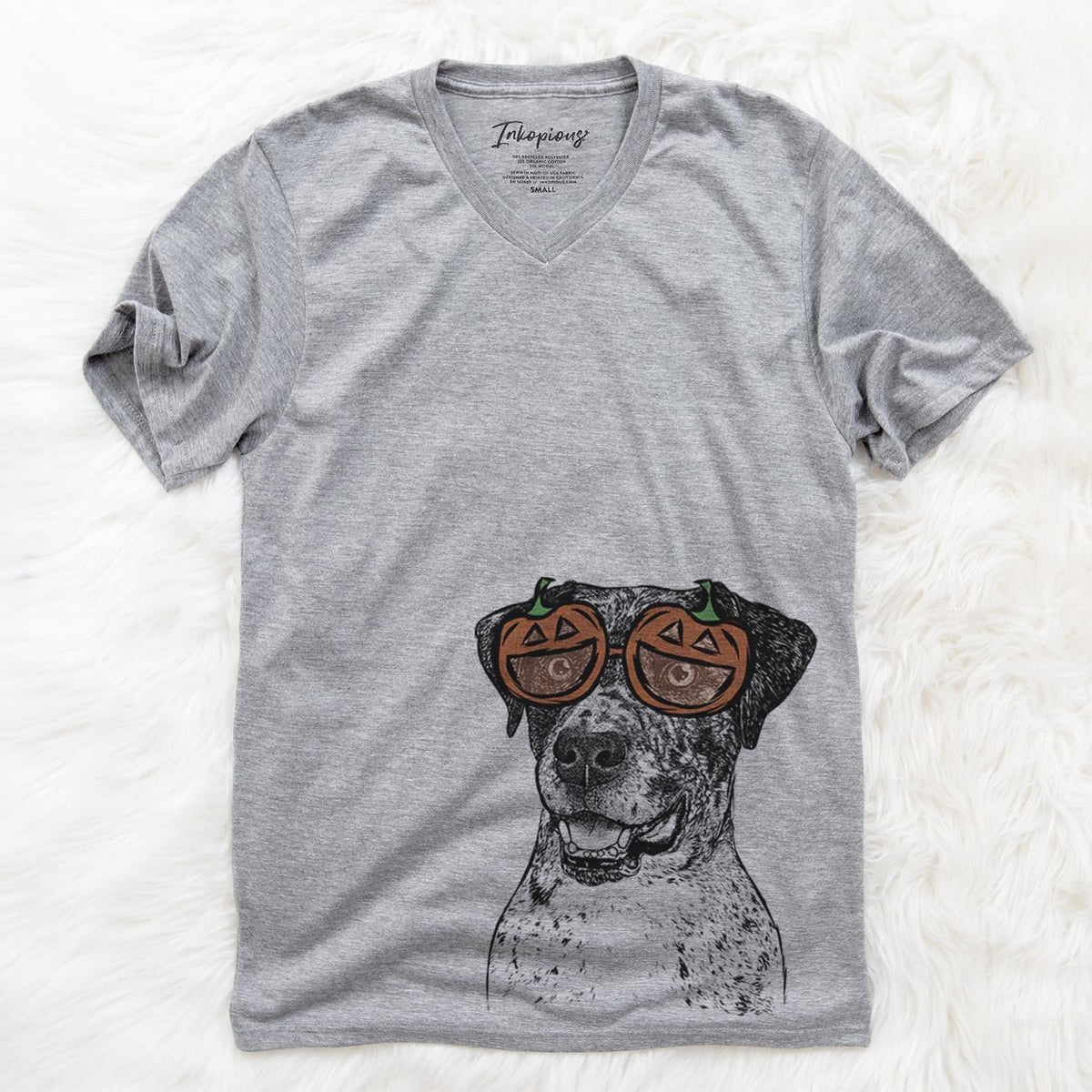 Argos the Catahoula  - Pumpkin Collection