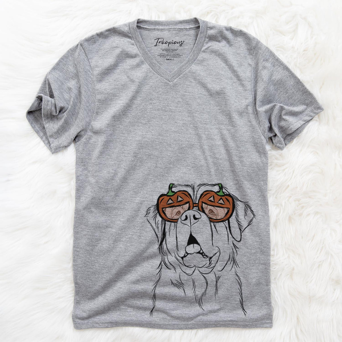 Atlas the Saint Bernard  - Pumpkin Collection