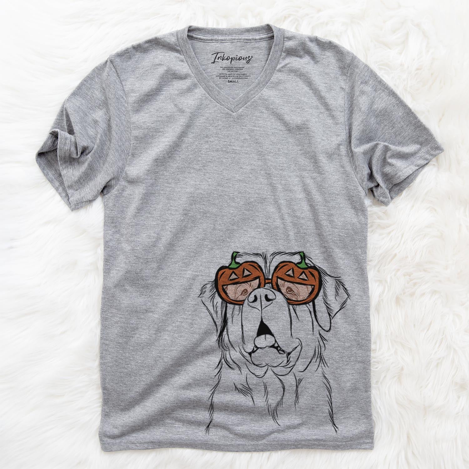 Atlas the Saint Bernard  - Pumpkin Collection