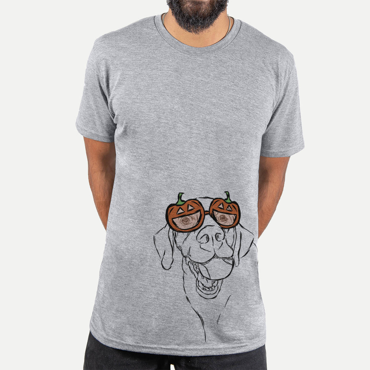 Bailey the Labrador Retriever  - Pumpkin Collection